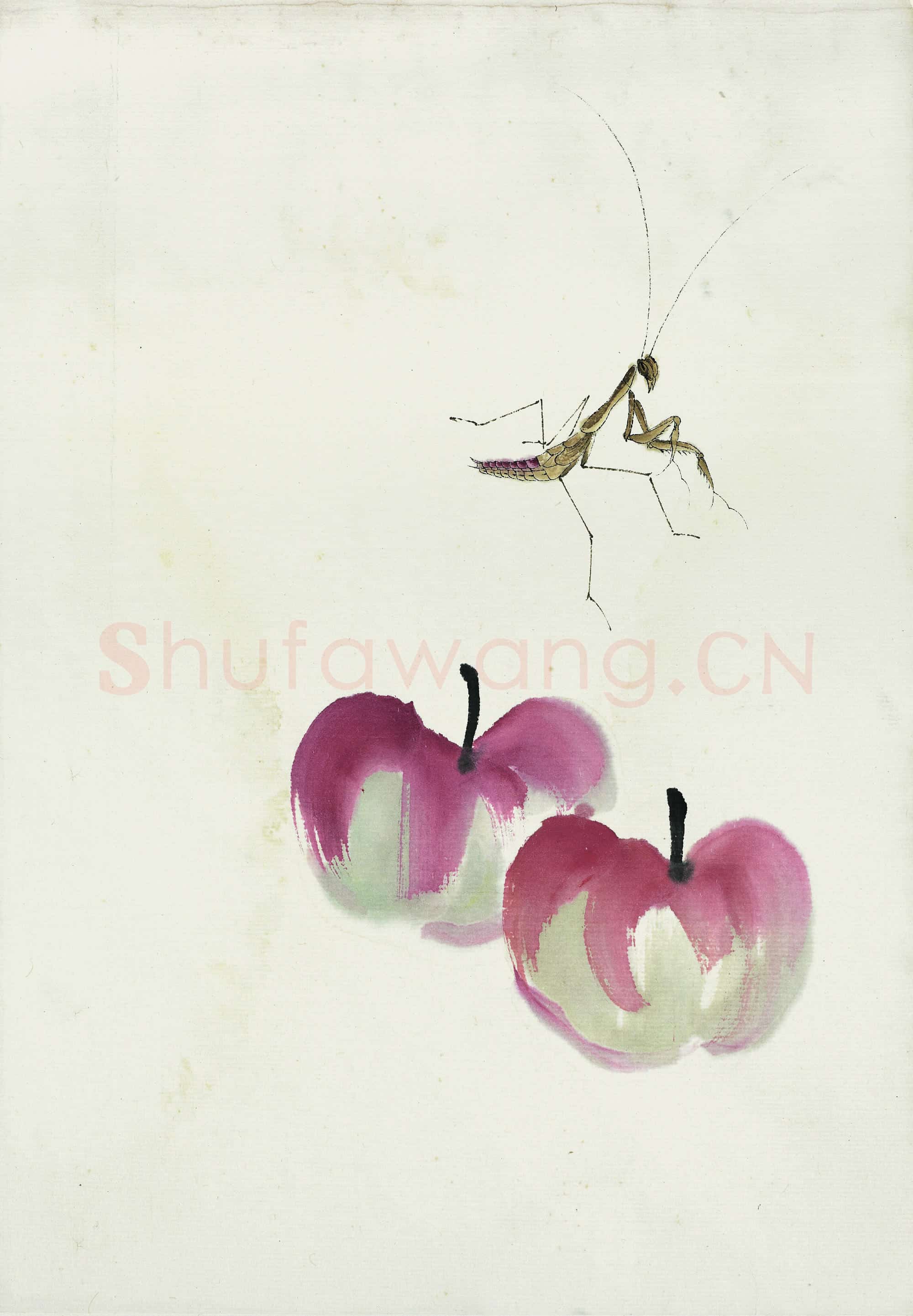 近现代 齐白石 国画作品精选-421