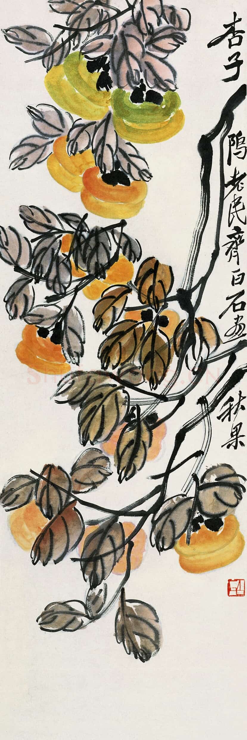 齐白石 国画作品精选-539