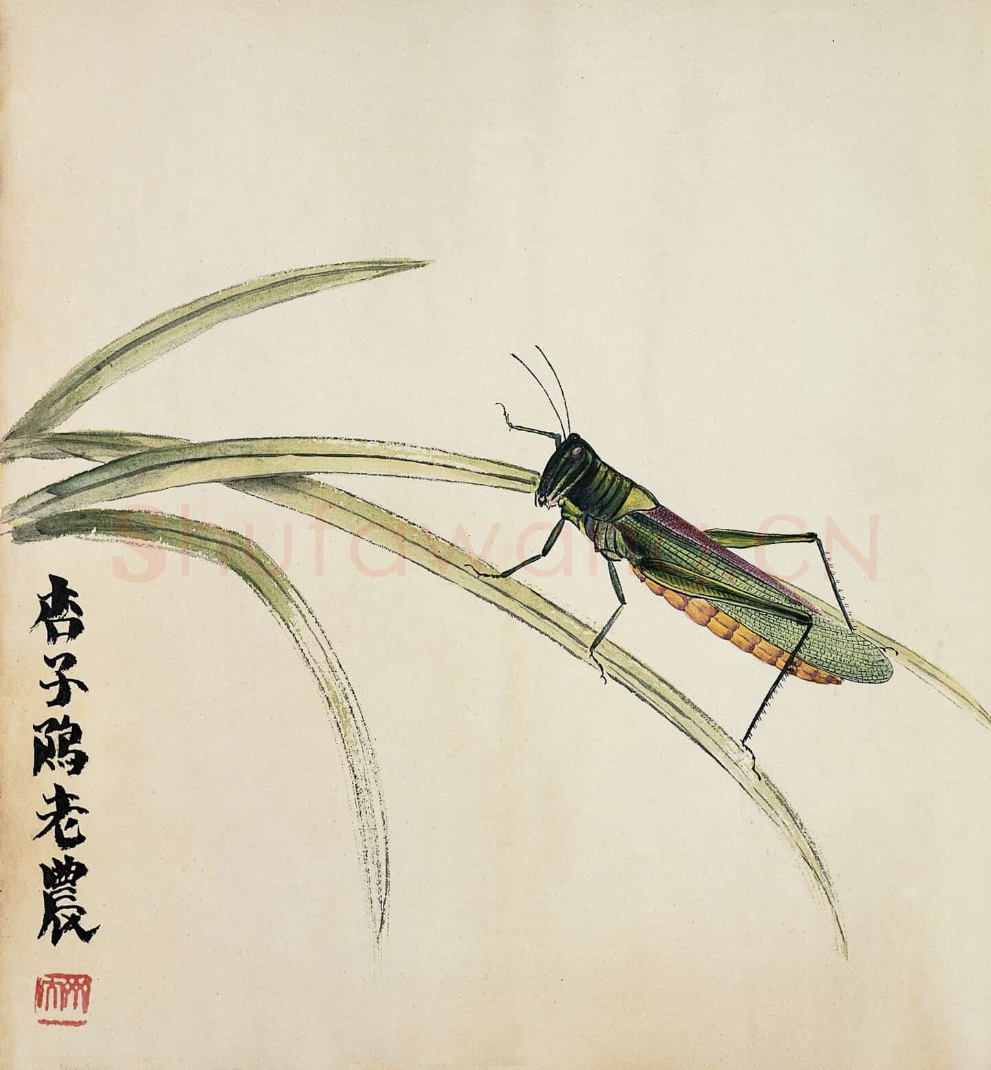 近现代 齐白石 国画作品精选-558