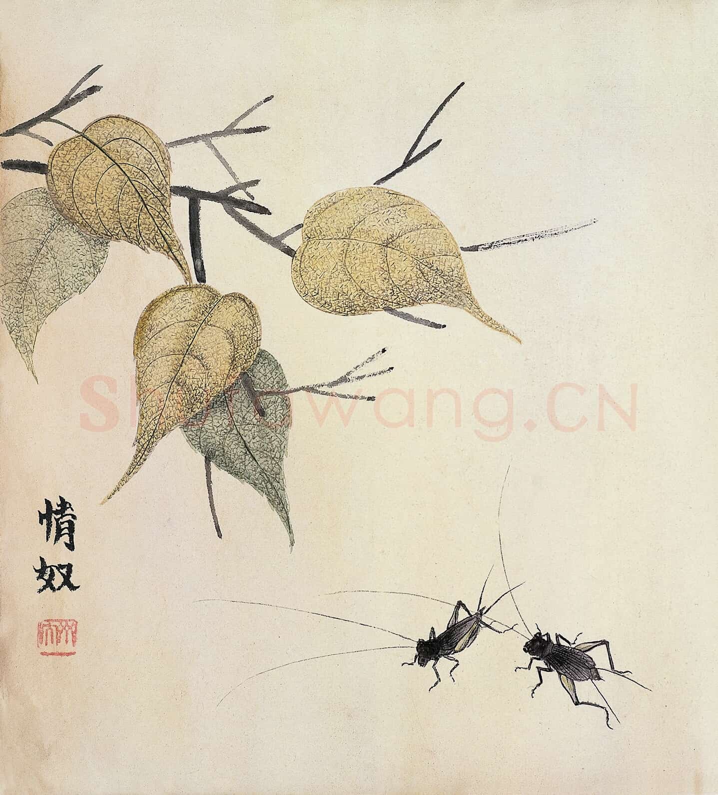 近现代 齐白石 国画作品精选-561