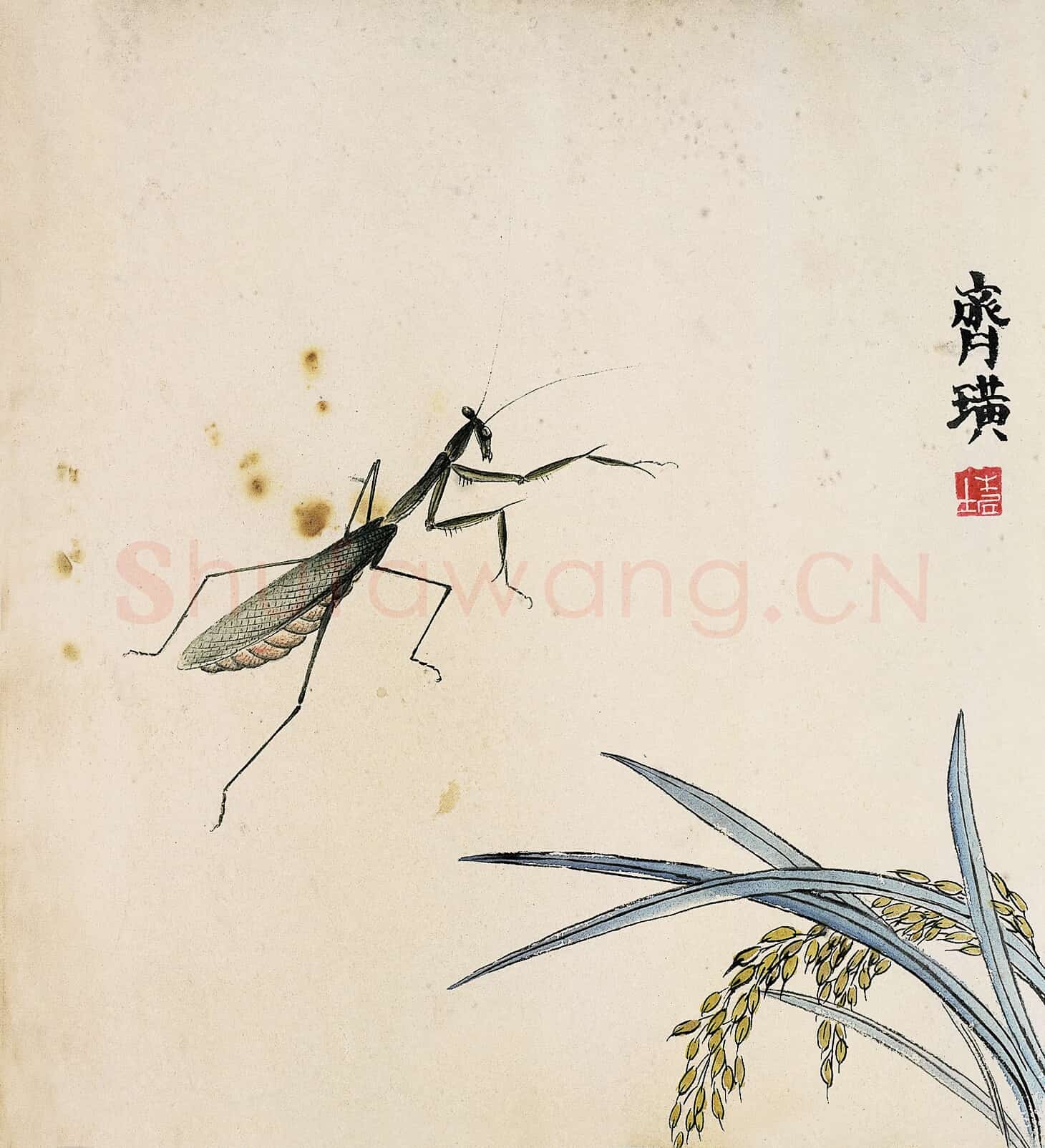 近现代 齐白石 国画作品精选-563