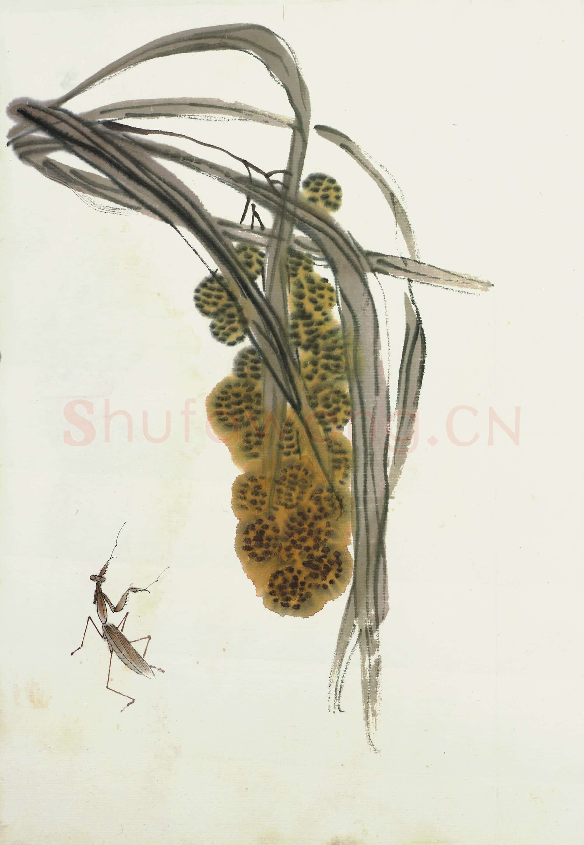 齐白石 国画作品精选-634