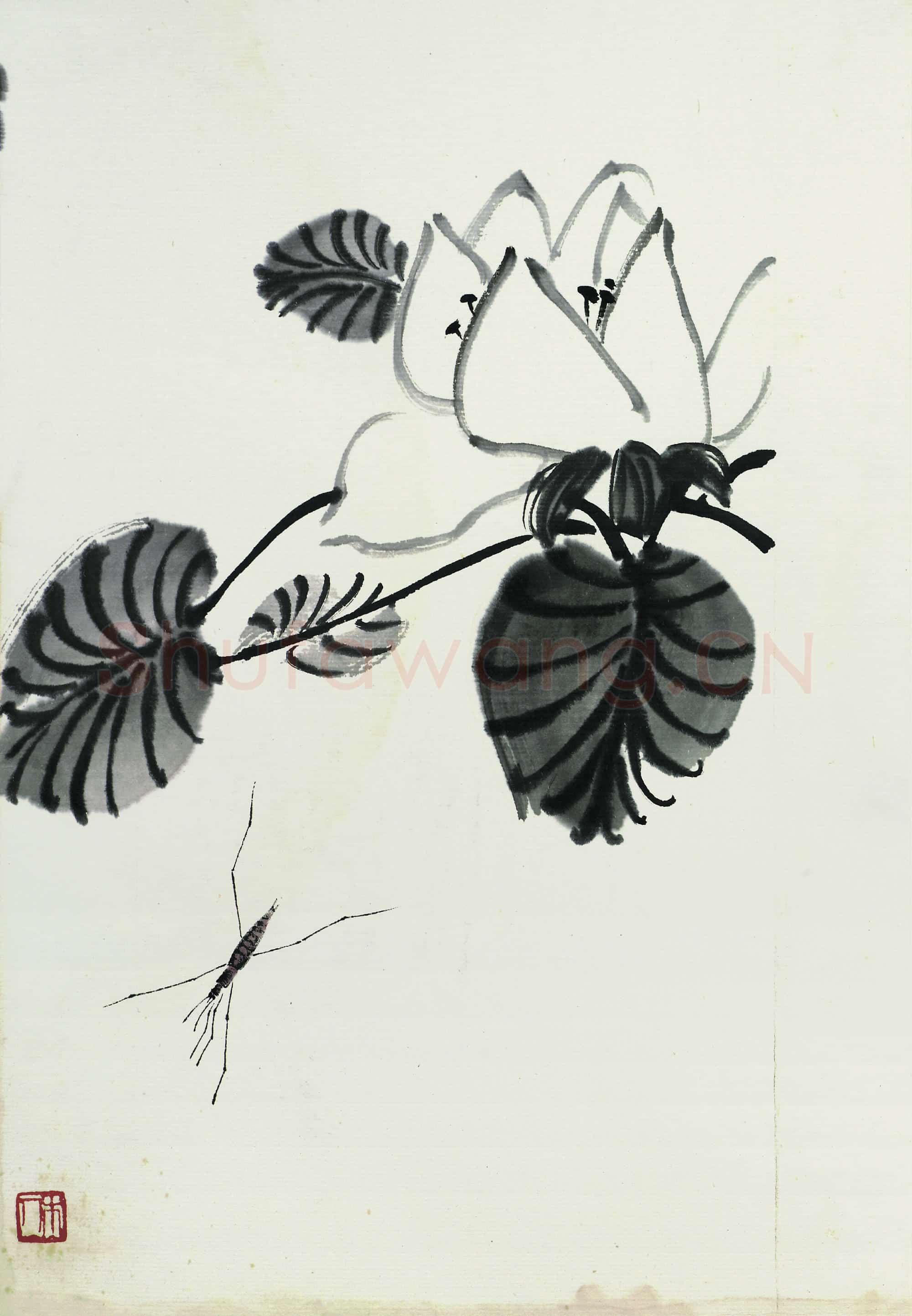 近现代 齐白石 国画作品精选-682