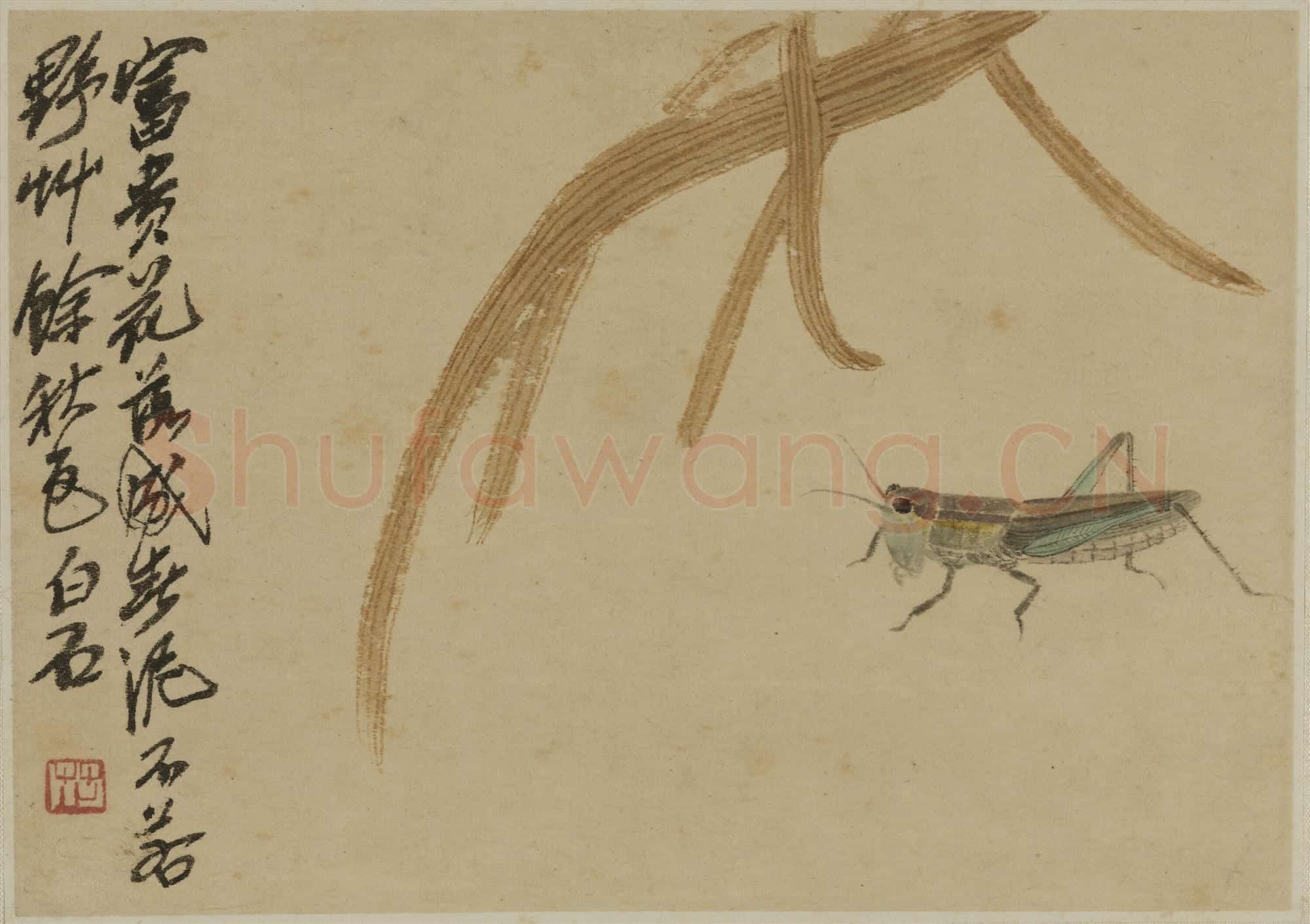 近现代 齐白石 国画作品精选-770