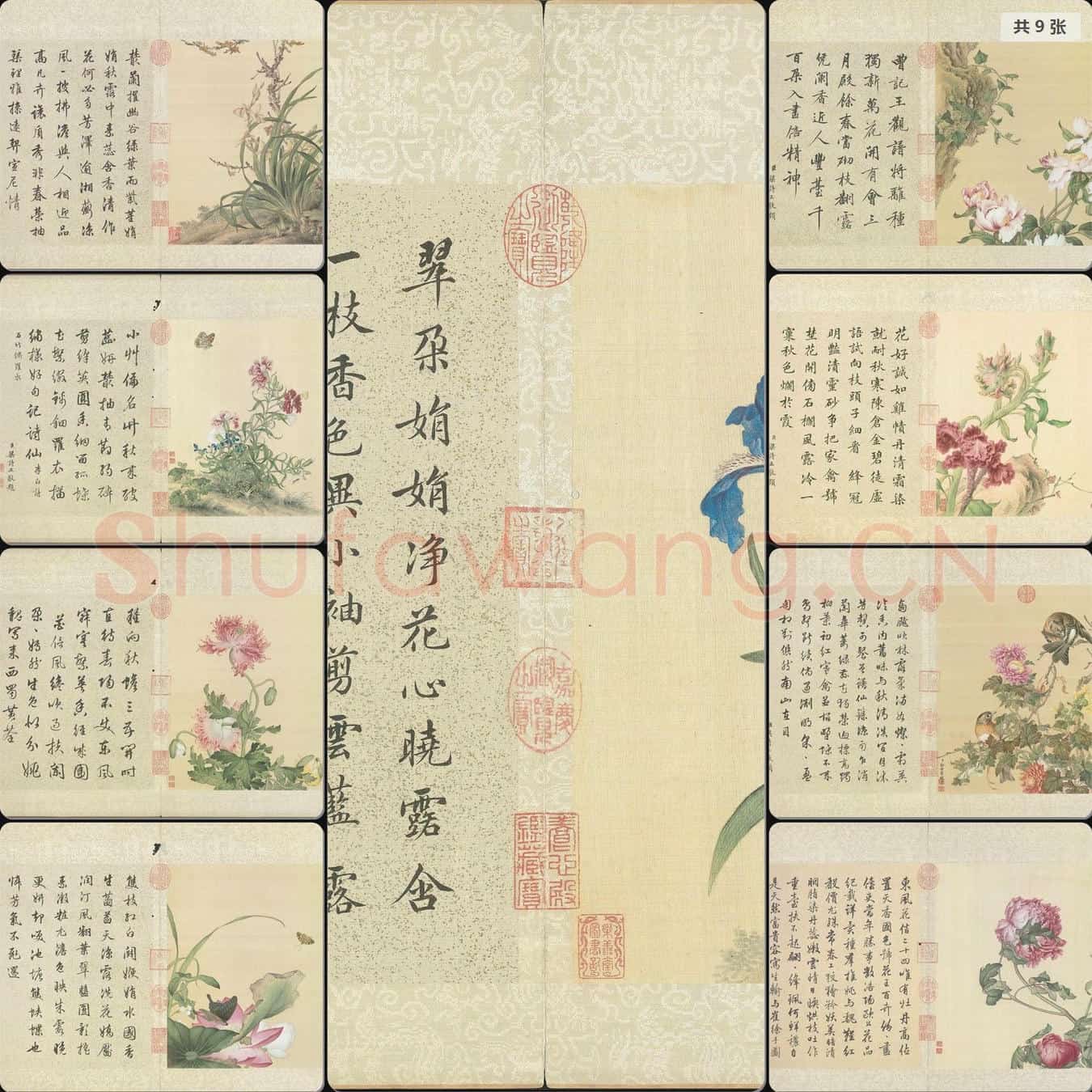 清 郎世宁 花鸟册
