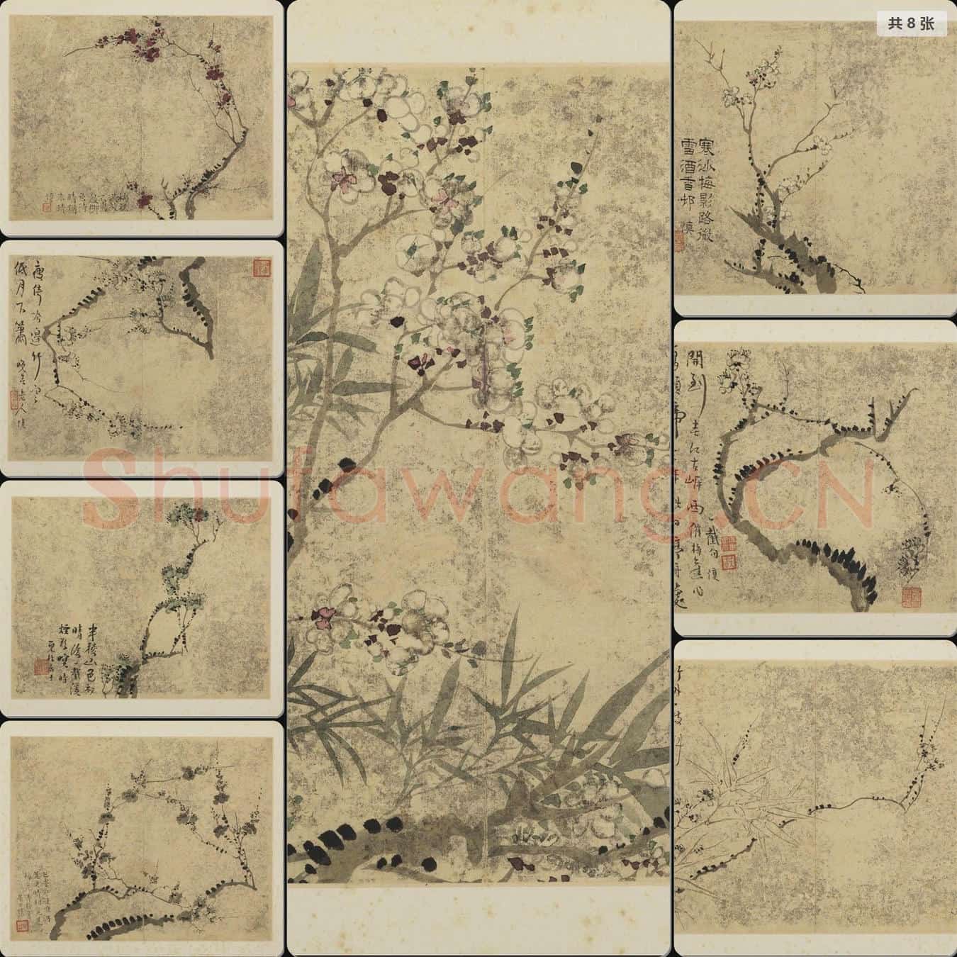 清 汪士慎 梅花图册