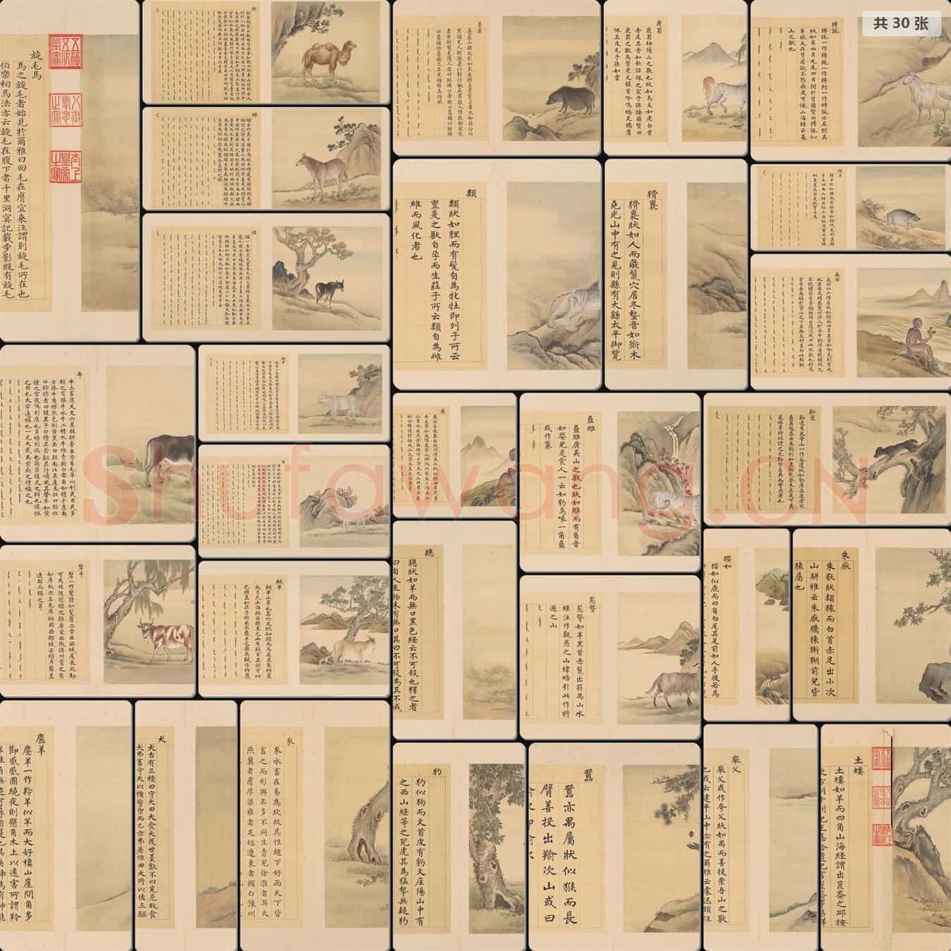 清 余省 张为邦 合画兽谱册第三册