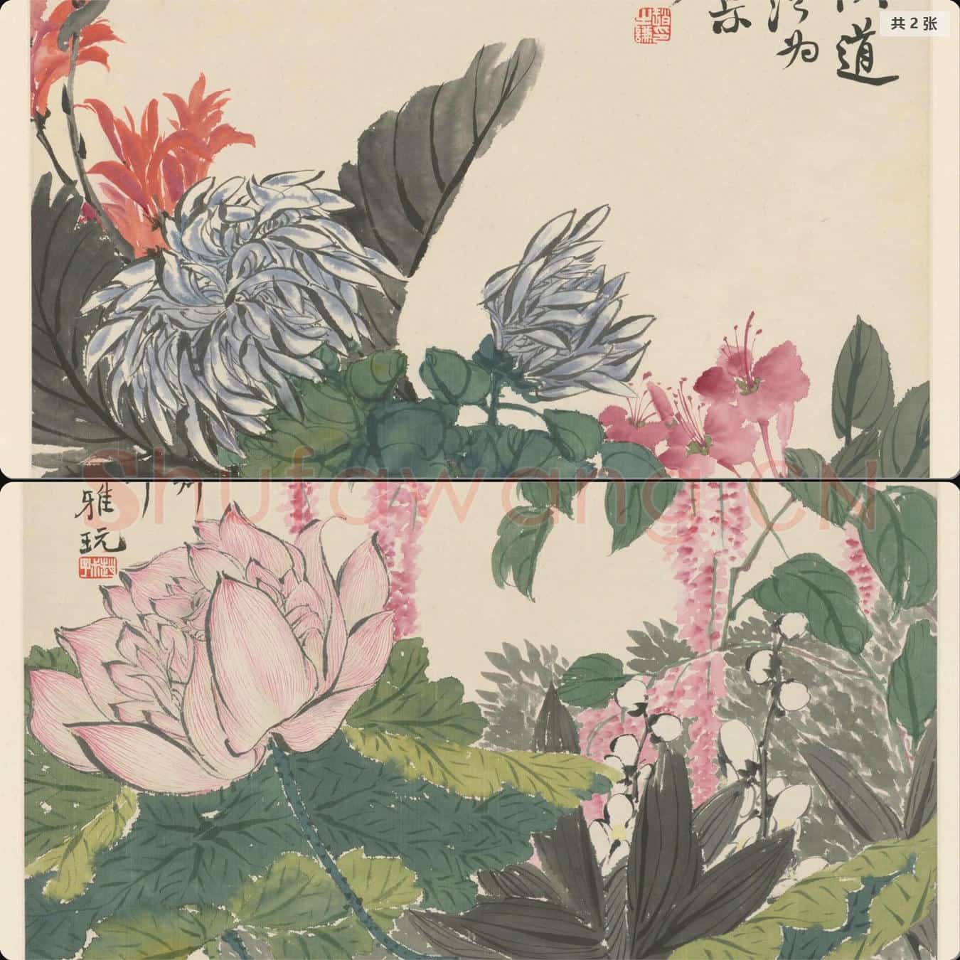 清 赵之谦 花卉册