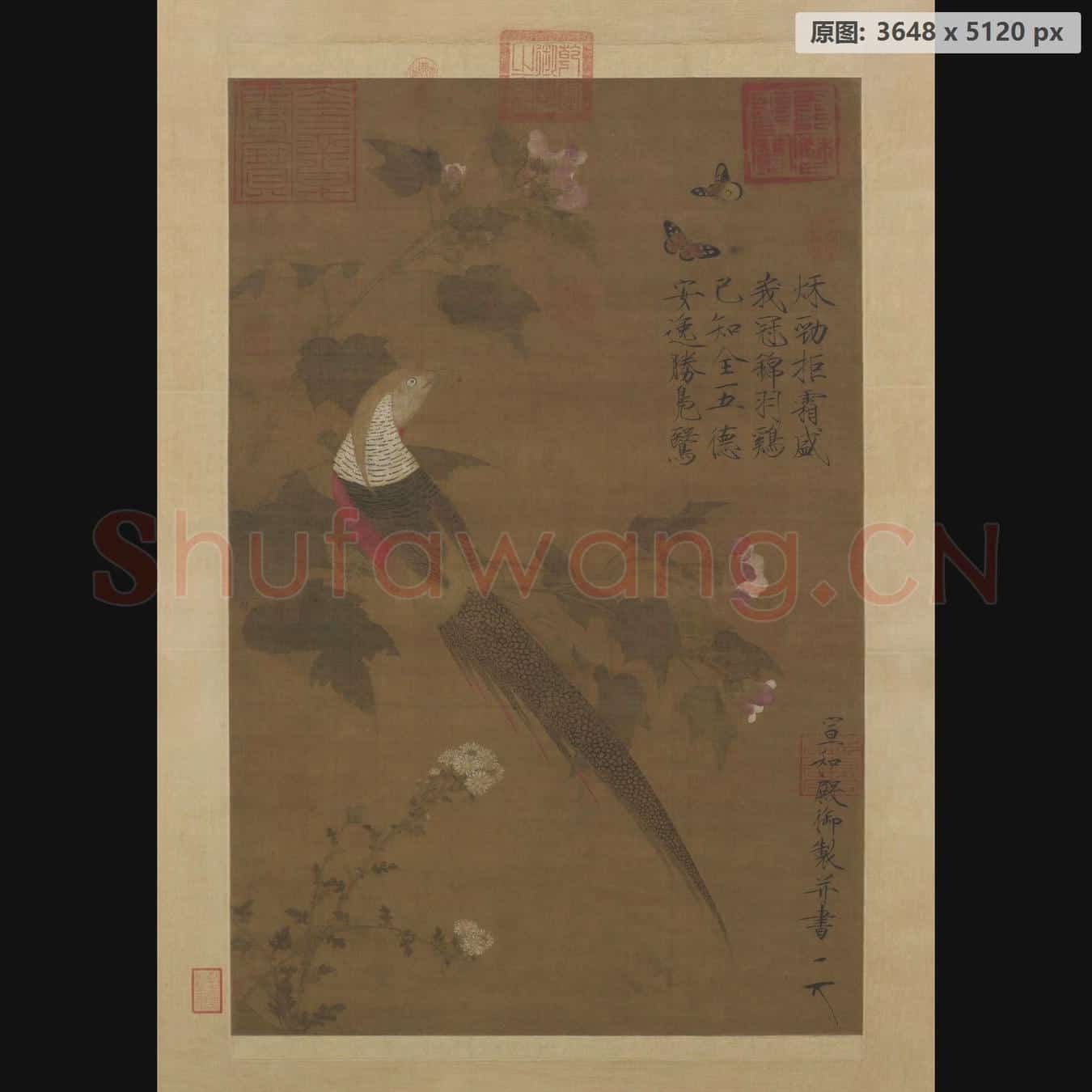 北宋 赵佶 芙蓉锦鸡图轴