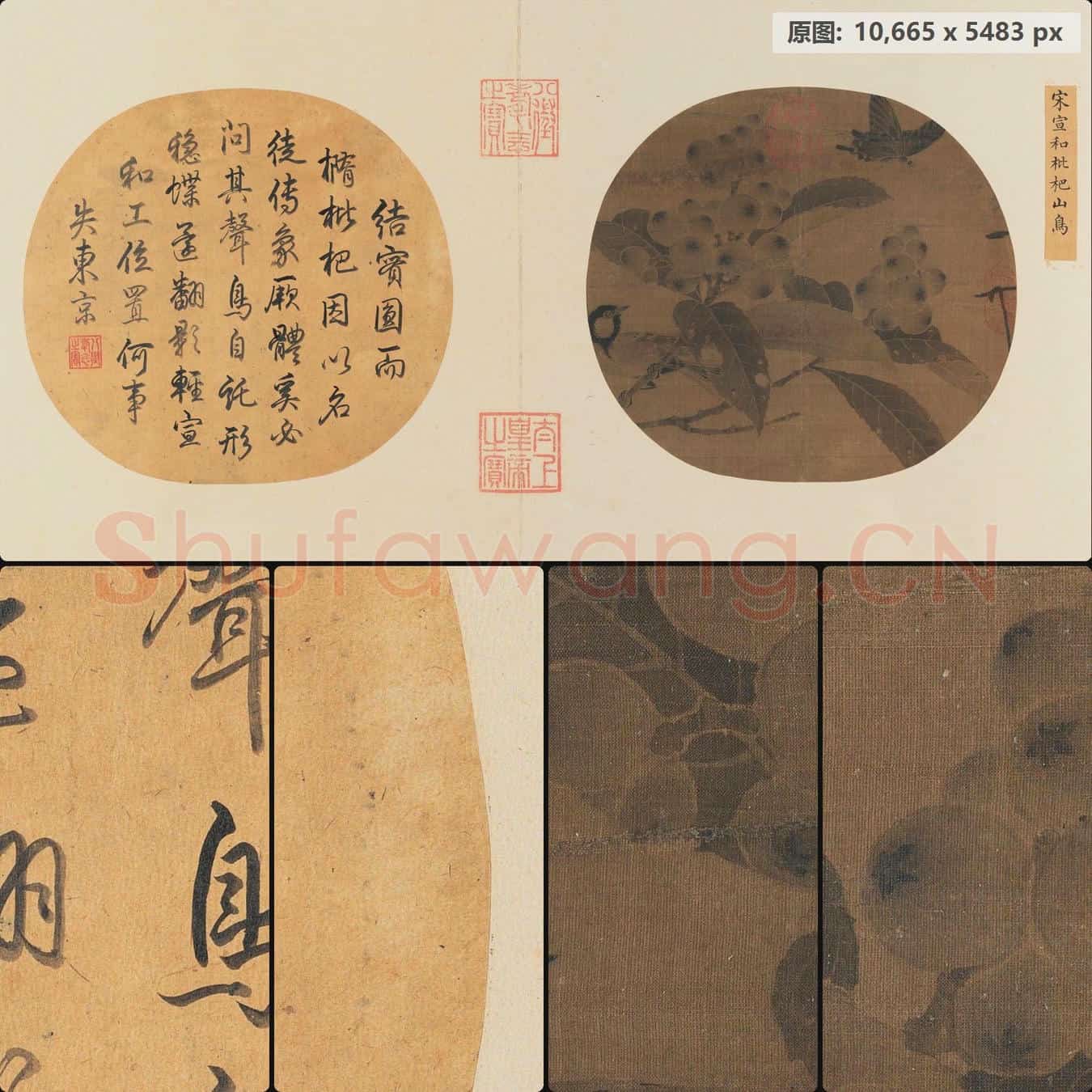北宋 赵佶 枇杷山鸟图页