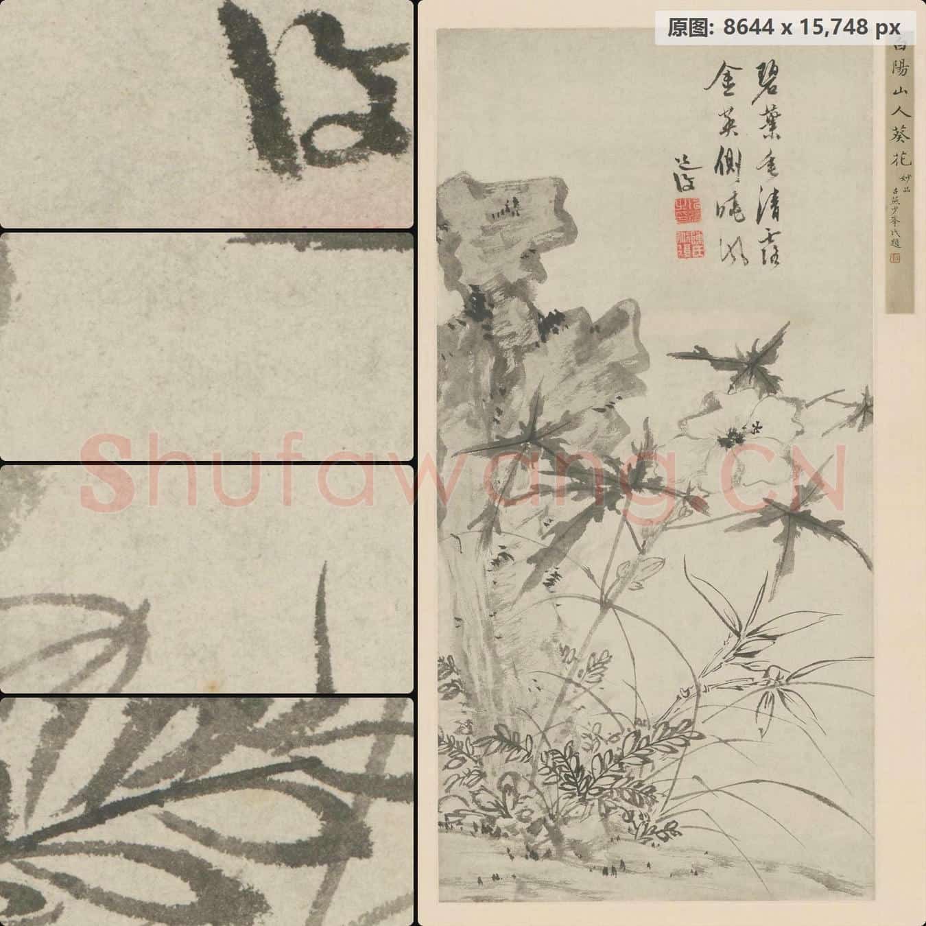 明 陈道復 葵石图轴