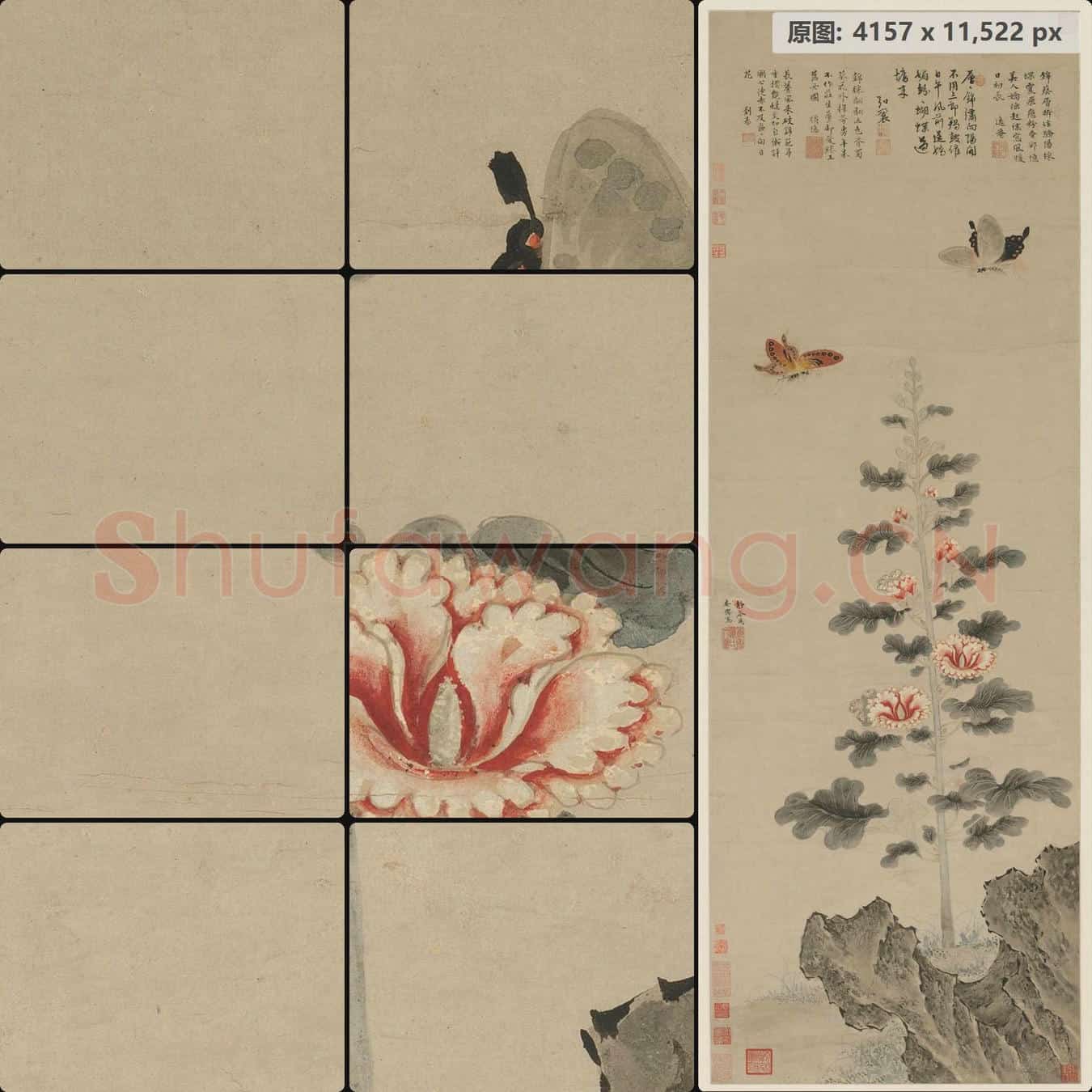 明 戴进 葵石蛱蝶图轴