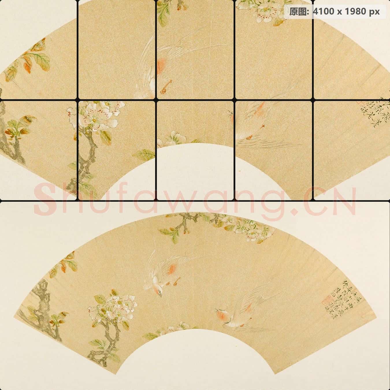 明 陆治 黎花白燕扇面