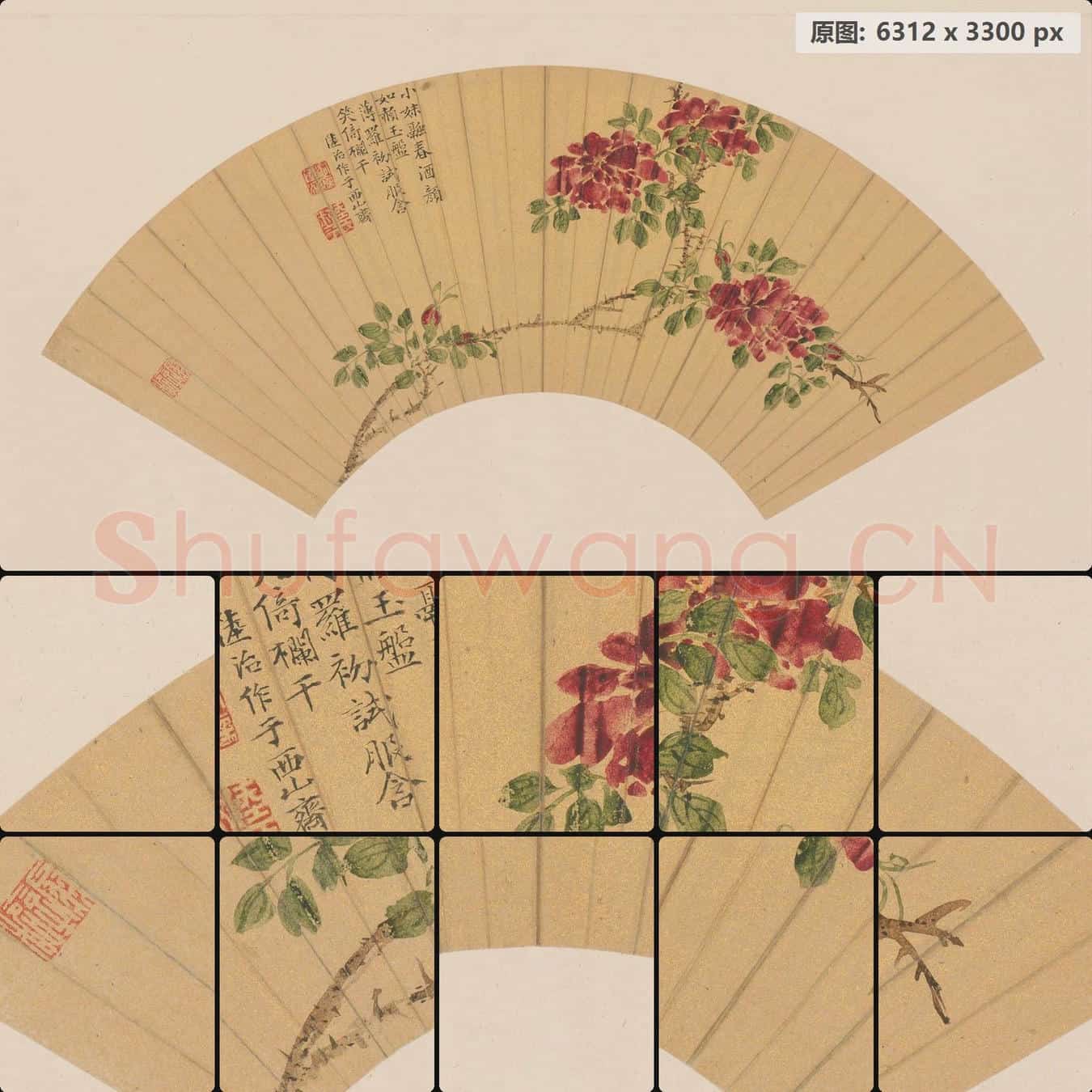 明 陆治 蔷薇扇面