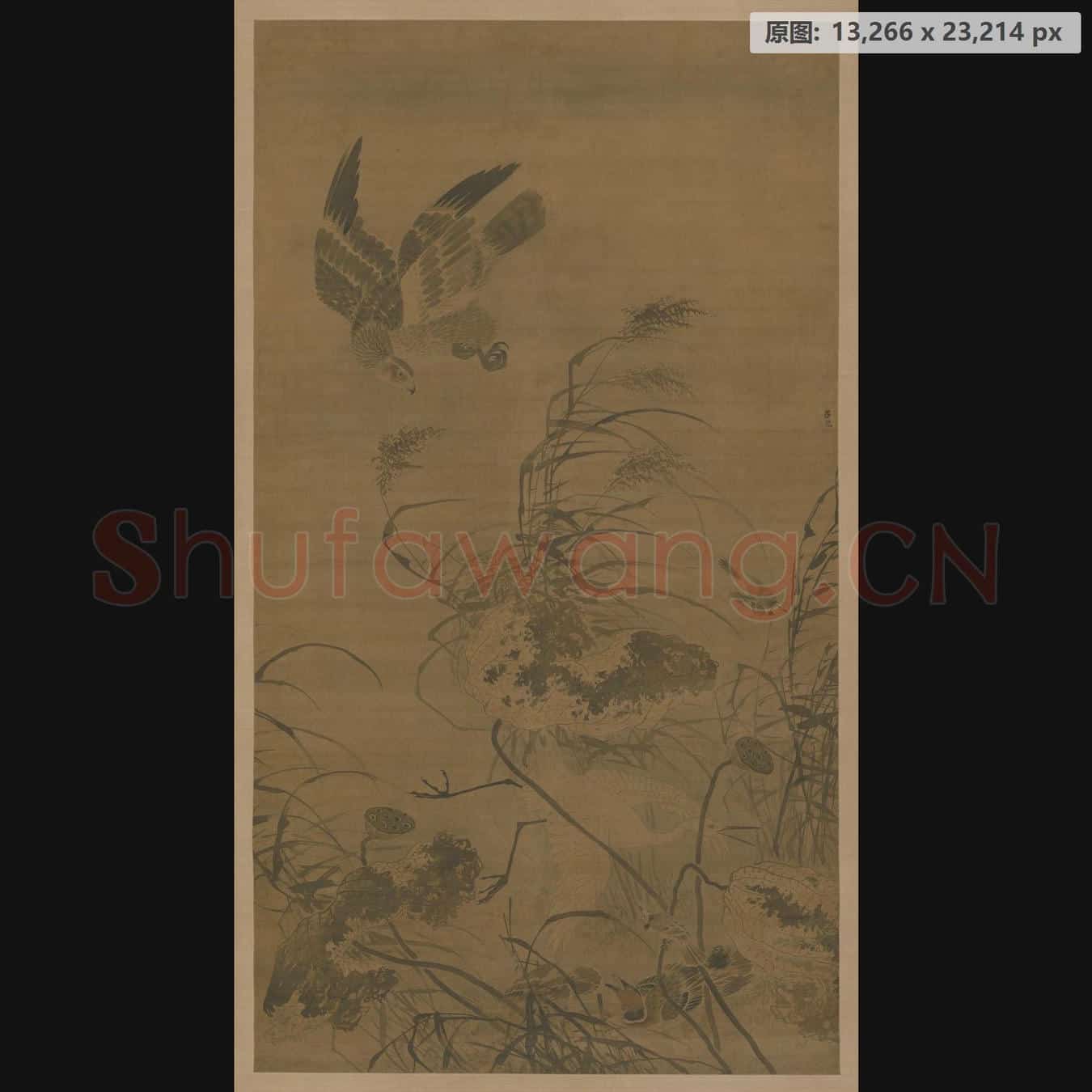 明 吕纪 残荷鹰鹭图轴