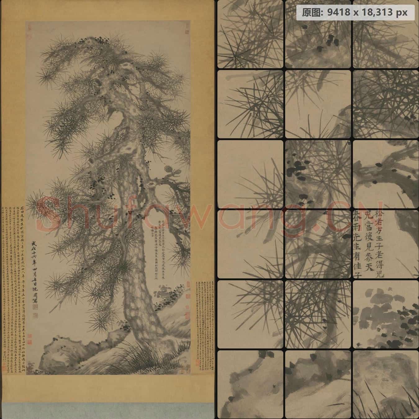 明 沈周 松石图轴