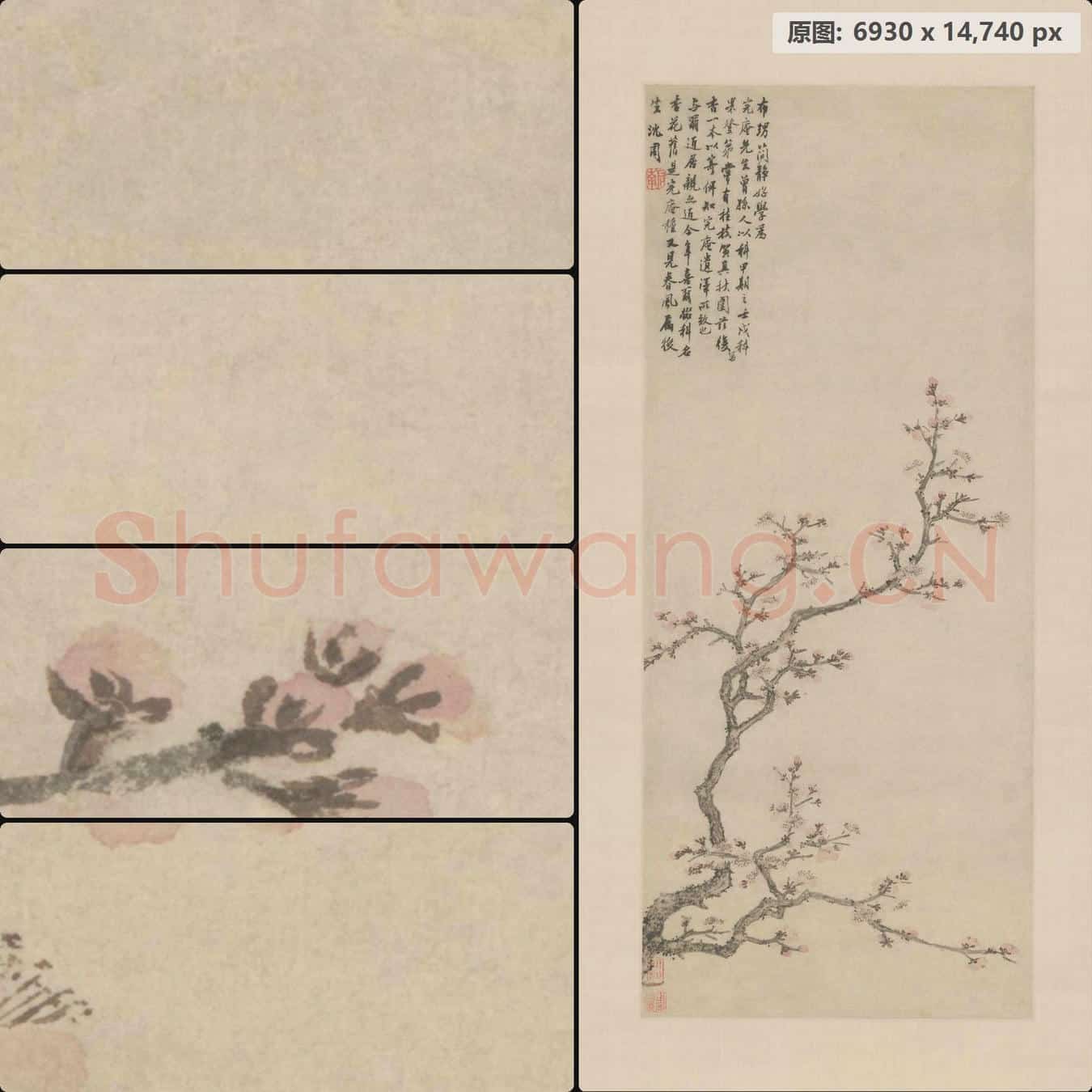 明 沈周 杏花图轴