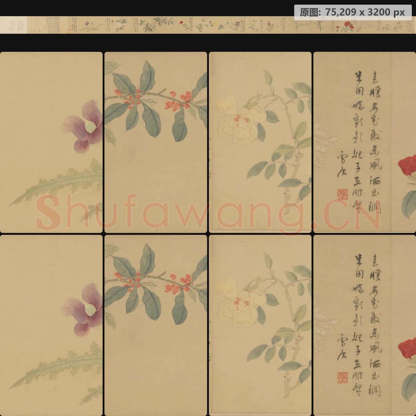 明 孙克弘 百花图卷
