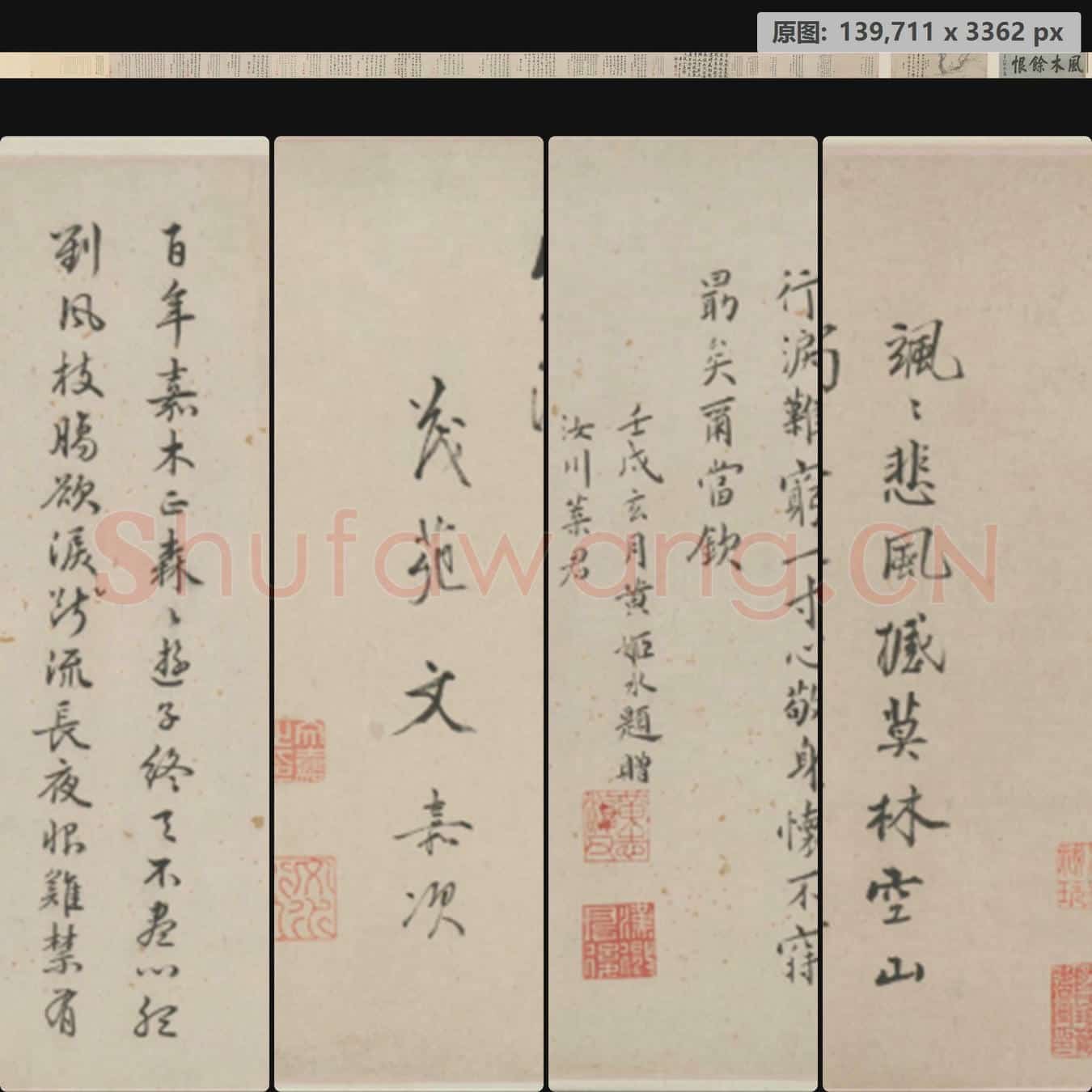 明 唐寅 风木图卷