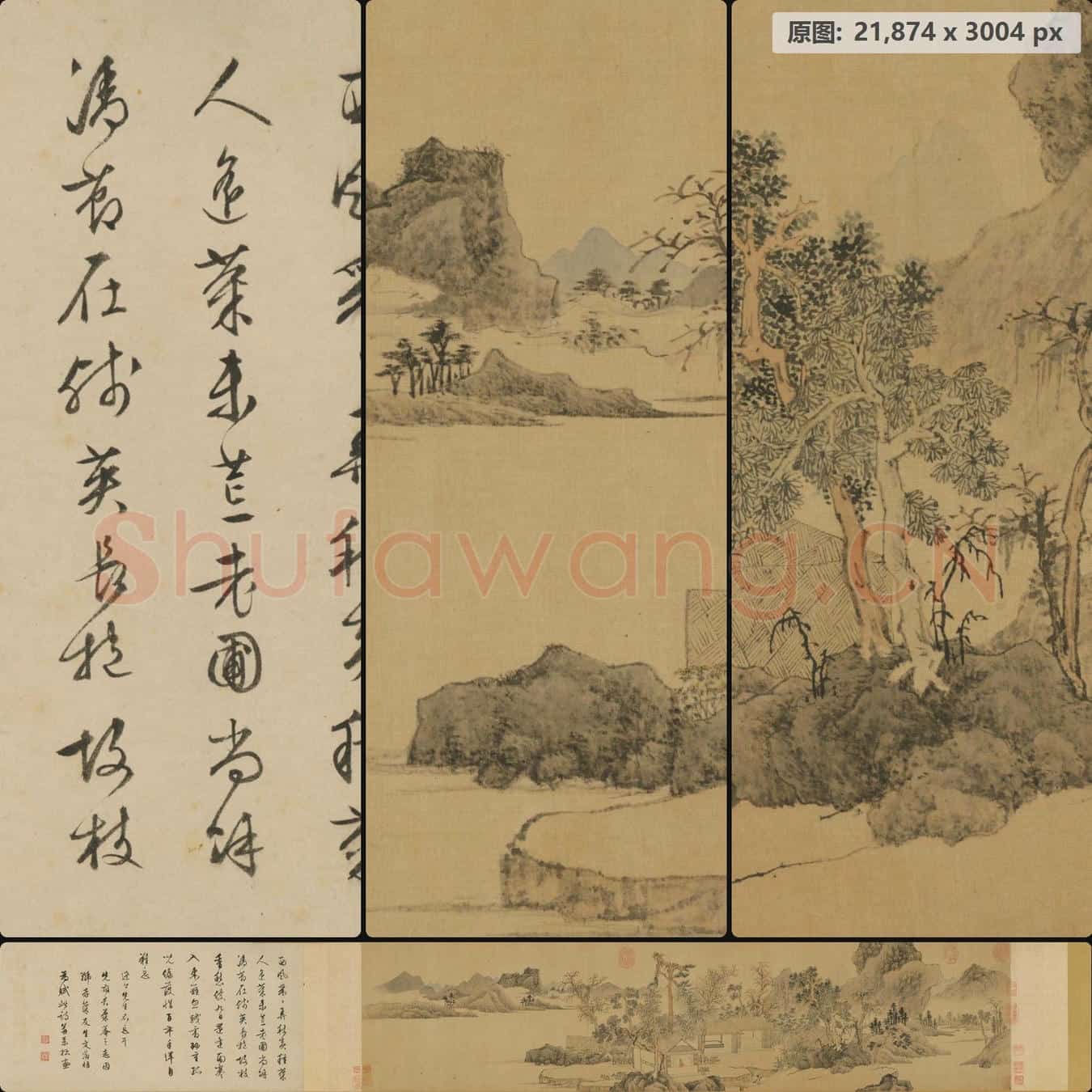 明 文徵明 存菊图卷