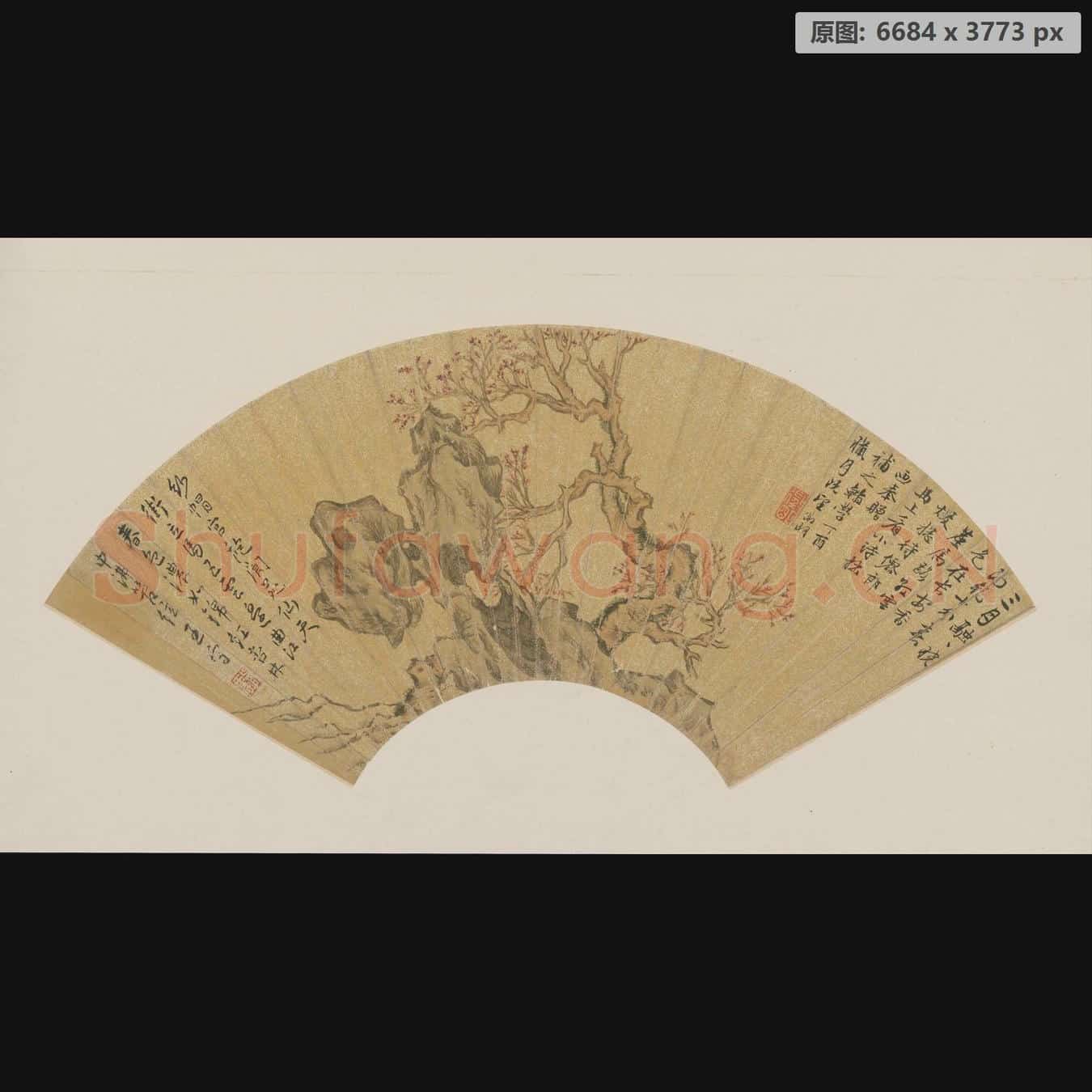明 文徵明 红杏湖石图扇页