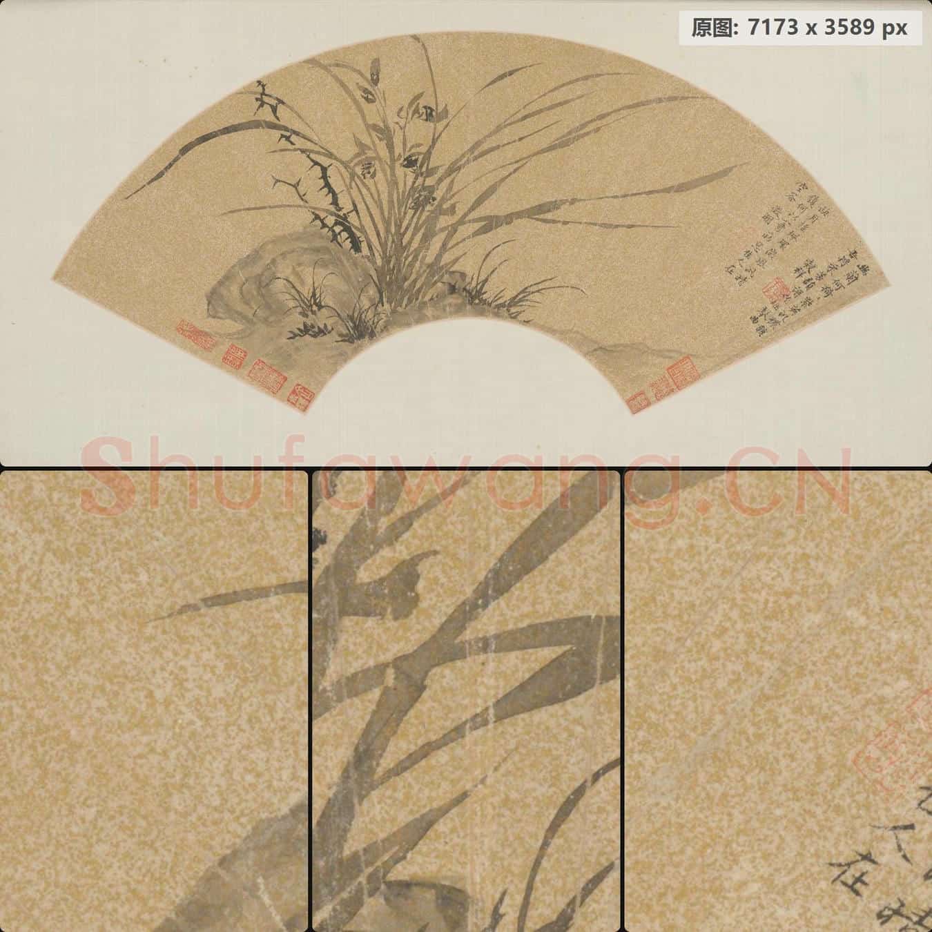 明 文徵明 兰石扇页