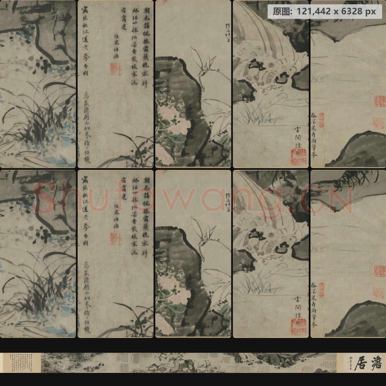 明 徐霖 花卉泉石卷