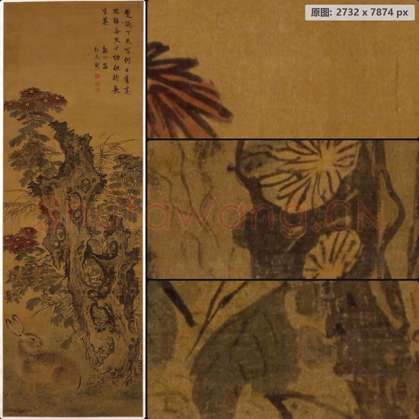明 徐霖 菊石野兔图轴
