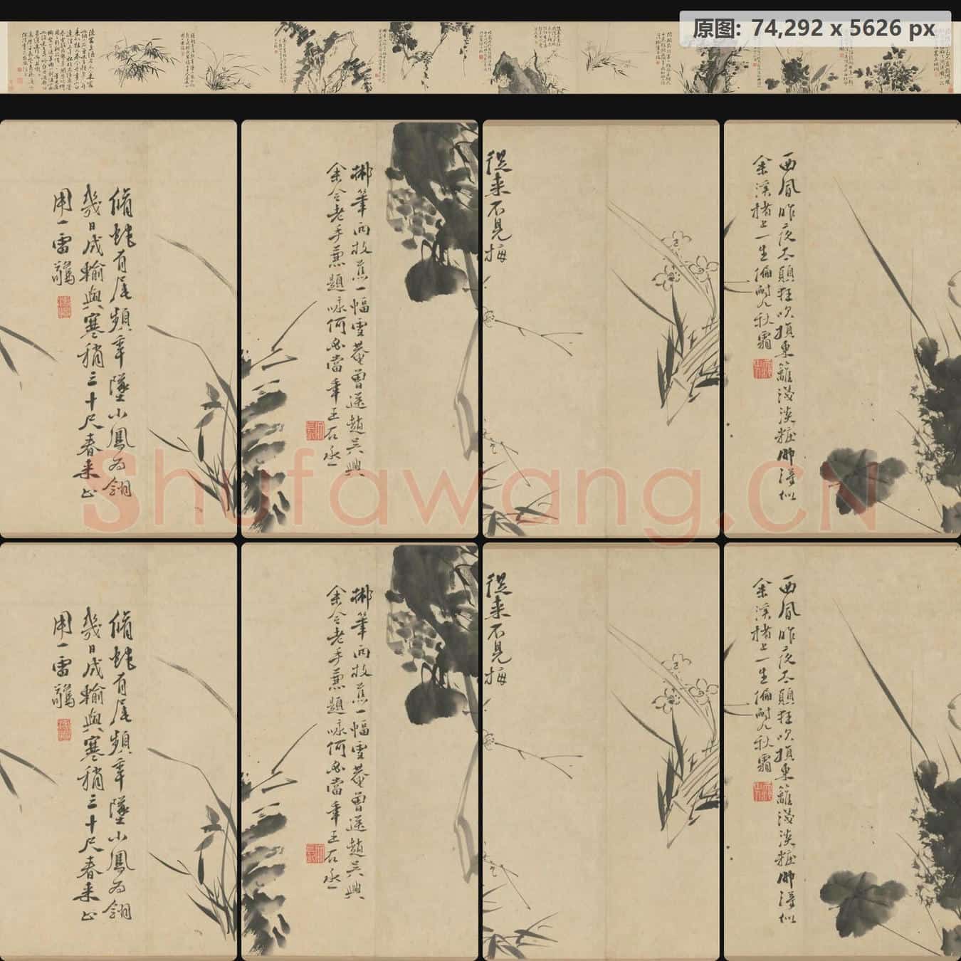 明 徐渭 墨花九段图卷