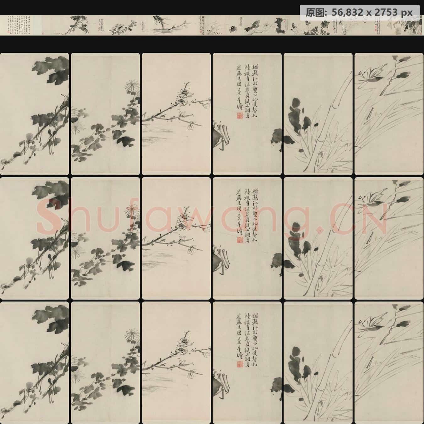 明 徐渭 墨花卷