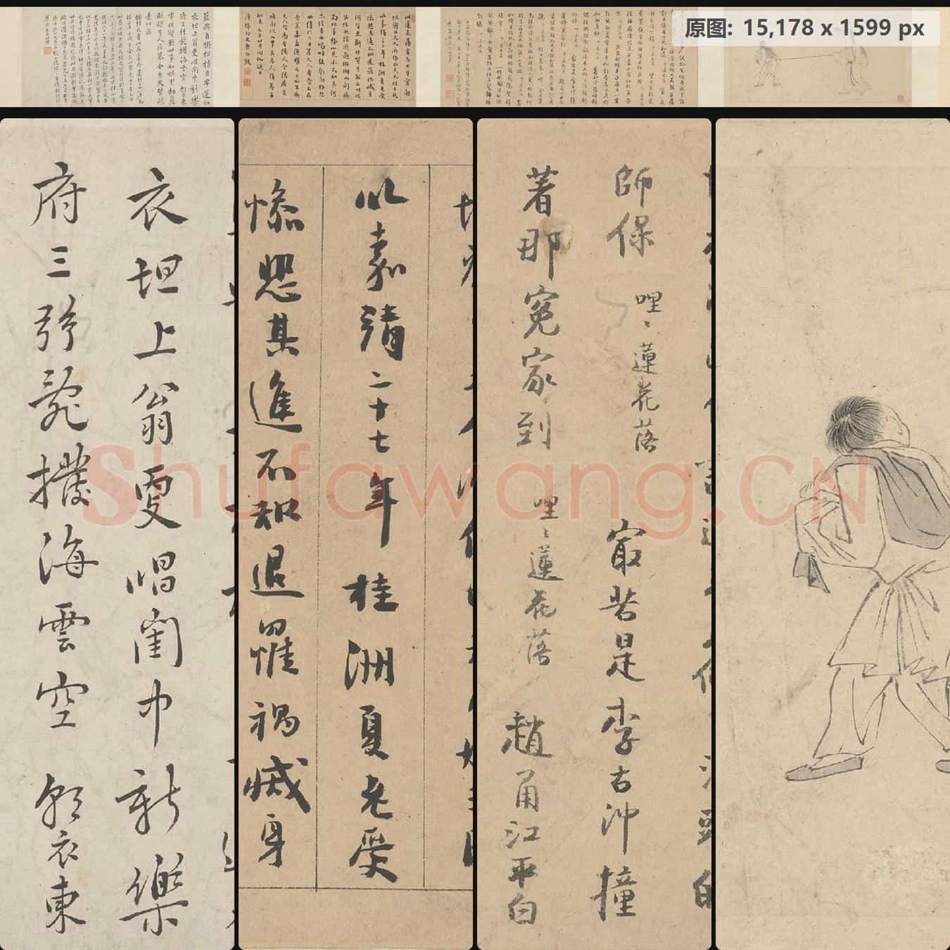 明 周官 莲花落图卷