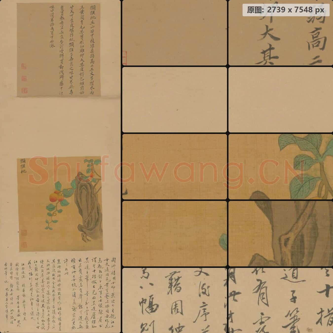 明 周淑禧 周淑祜 合画花果图屏