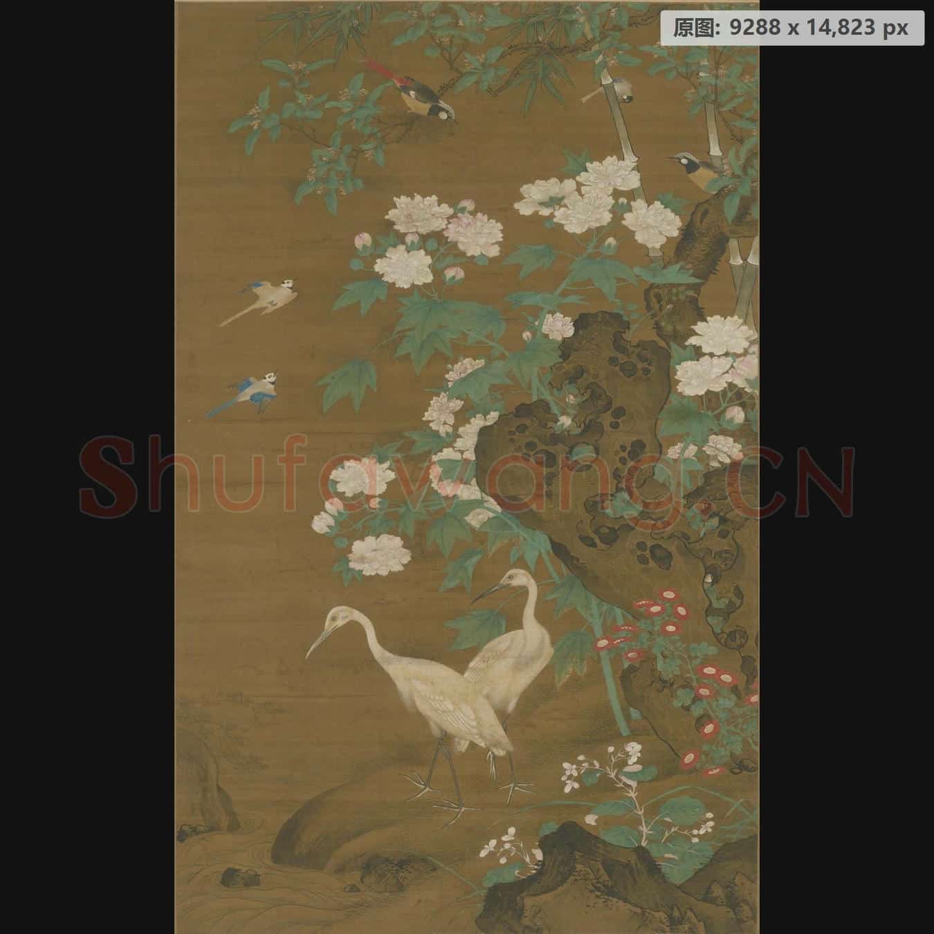 明 佚名 花鸟图轴