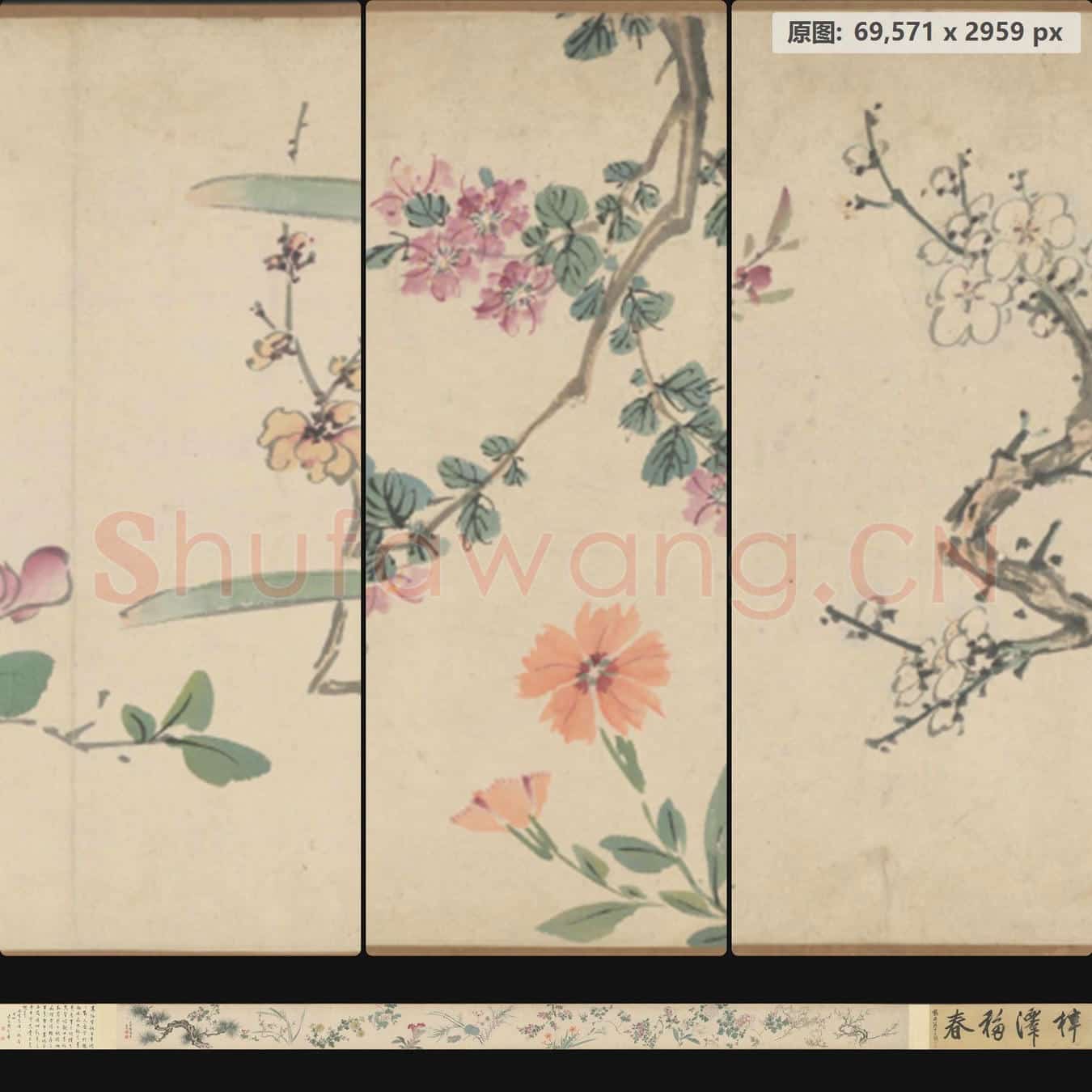 明末清初 高阳 花卉卷