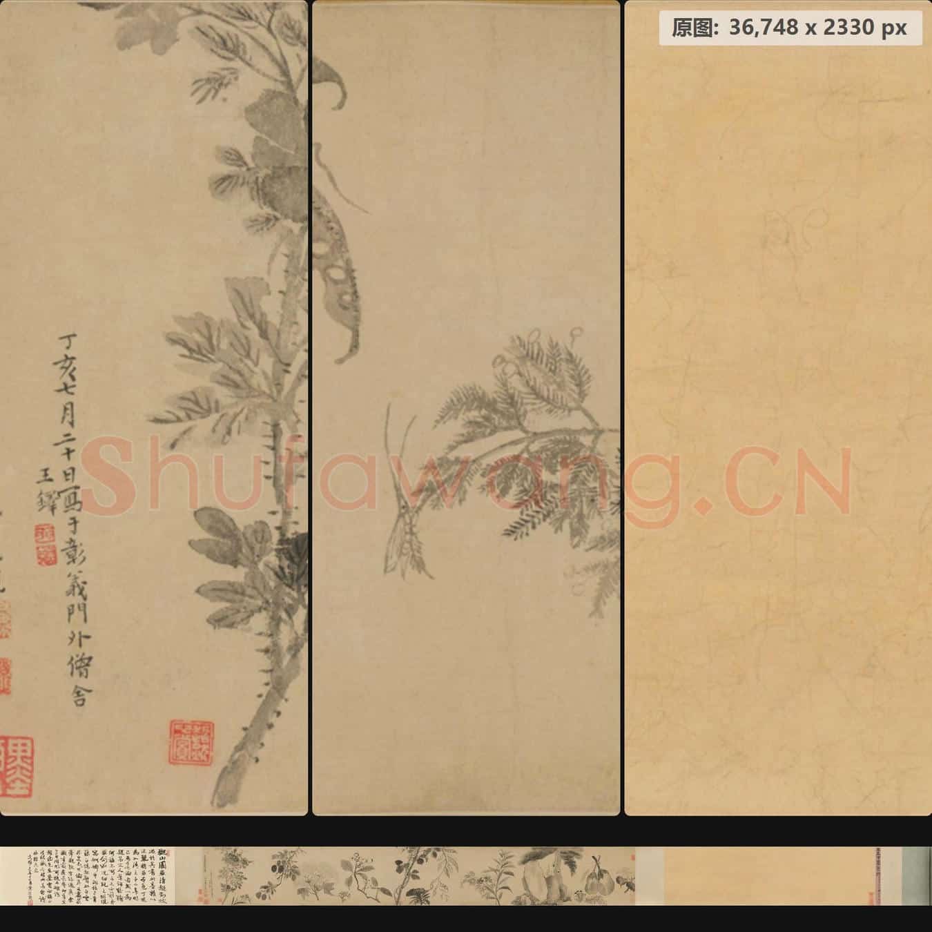 明末清初 王铎 花卉卷