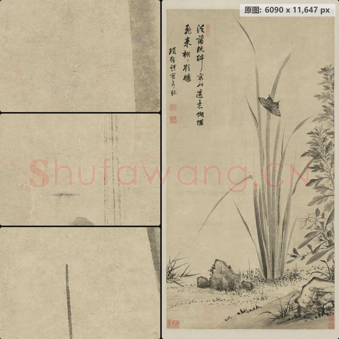 明末清初 项圣谟 蒲蝶图轴