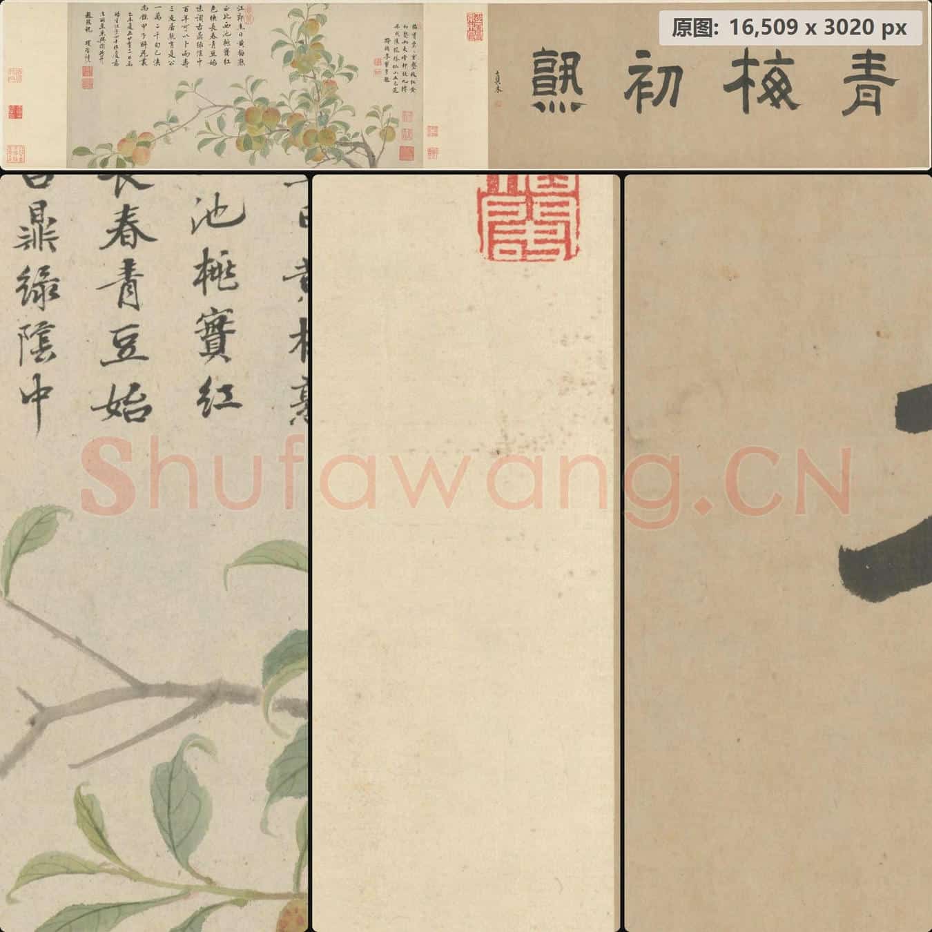 明末清初 项圣谟 青梅初熟卷