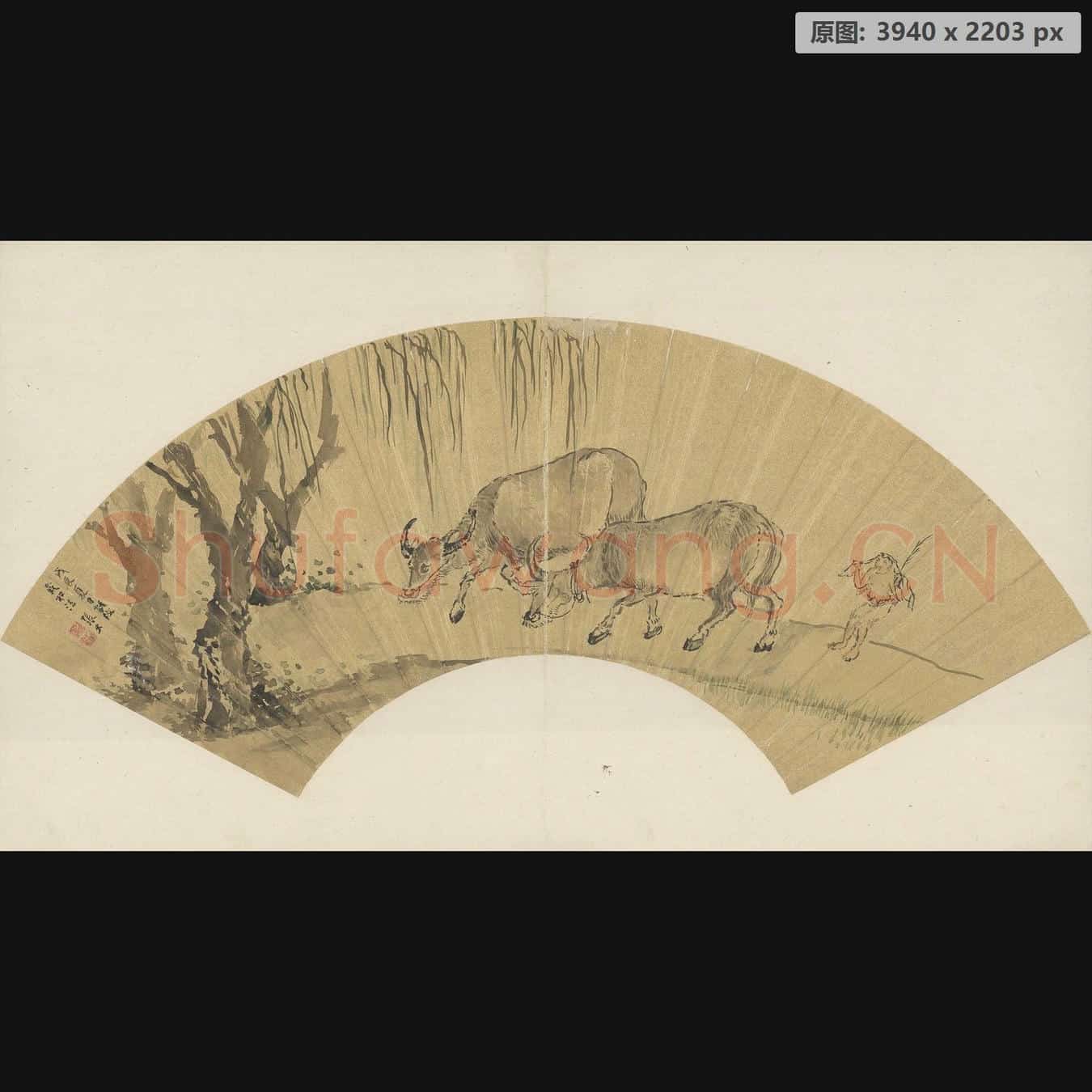 明末清初 张宏 画牛扇页