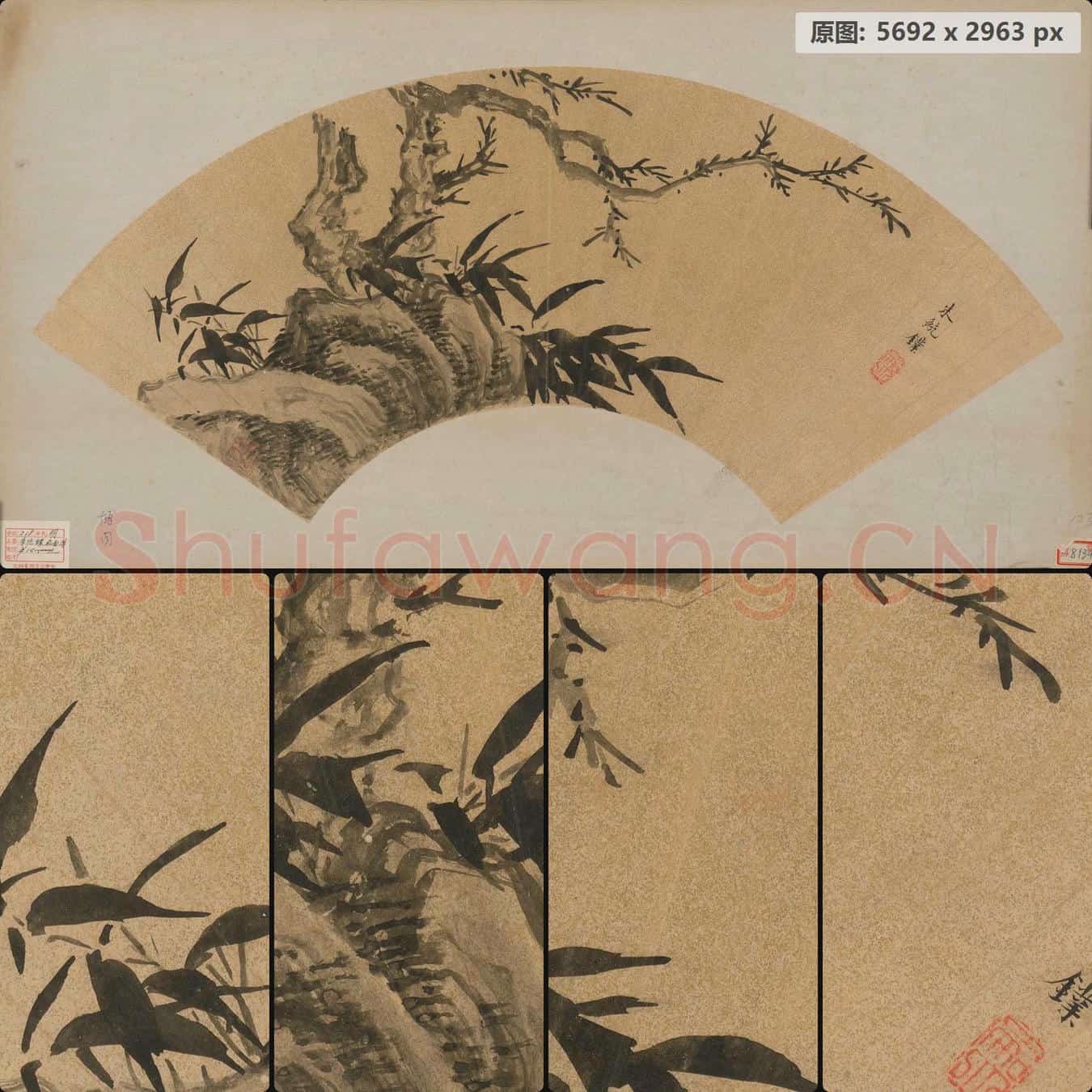 明末清初 朱统鐷 枯木竹石扇页