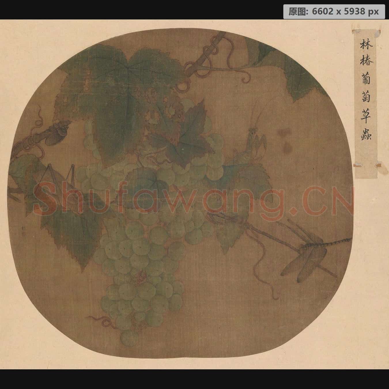 南宋 林椿 葡萄草虫图页