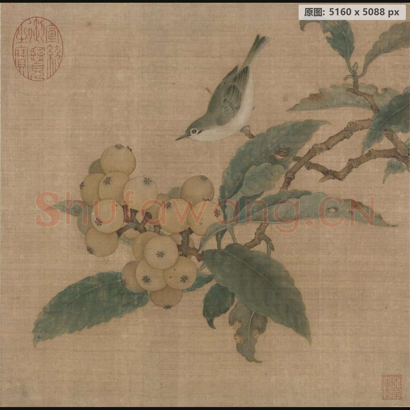 南宋 林椿 枇杷山鸟图页
