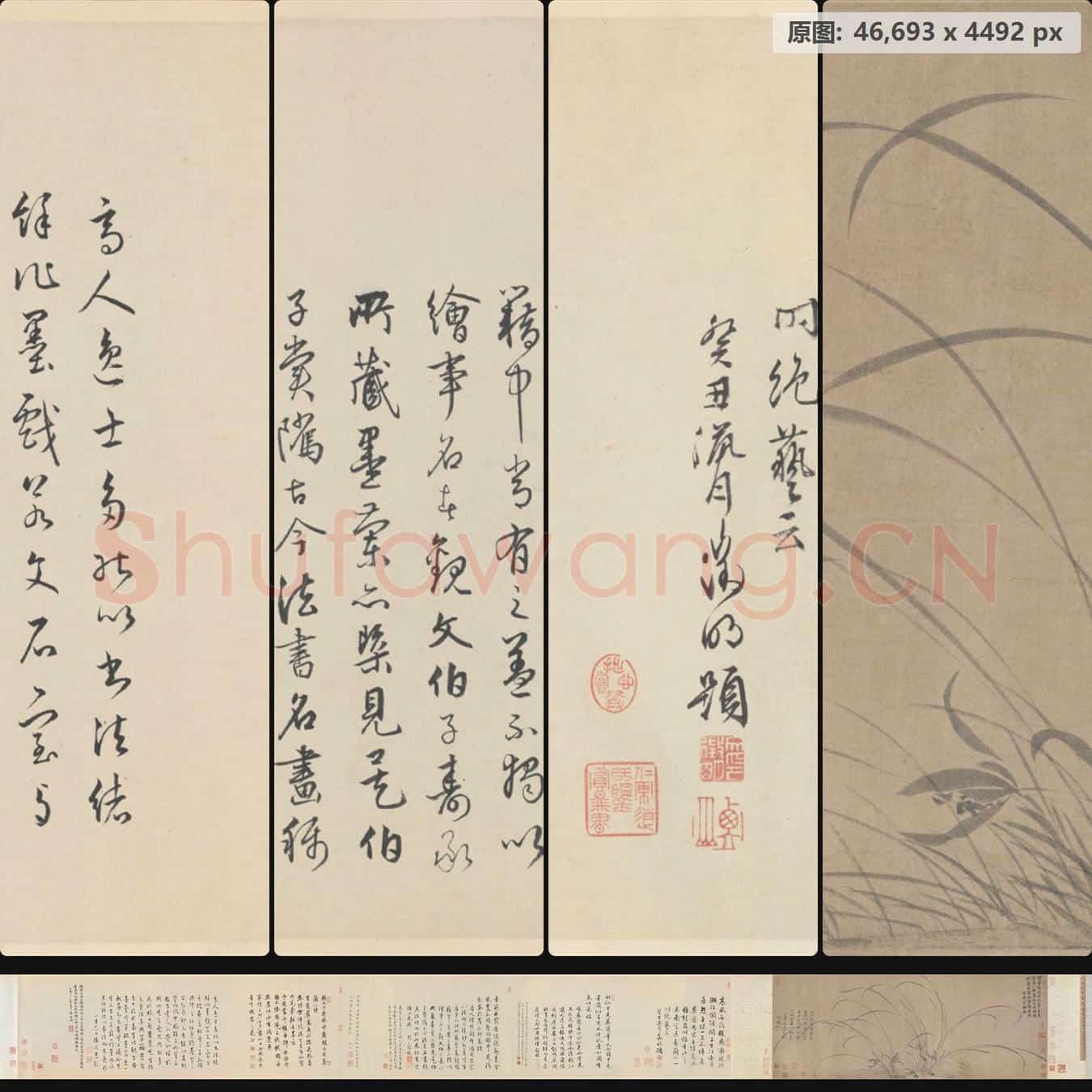 南宋 赵孟坚 墨兰图卷