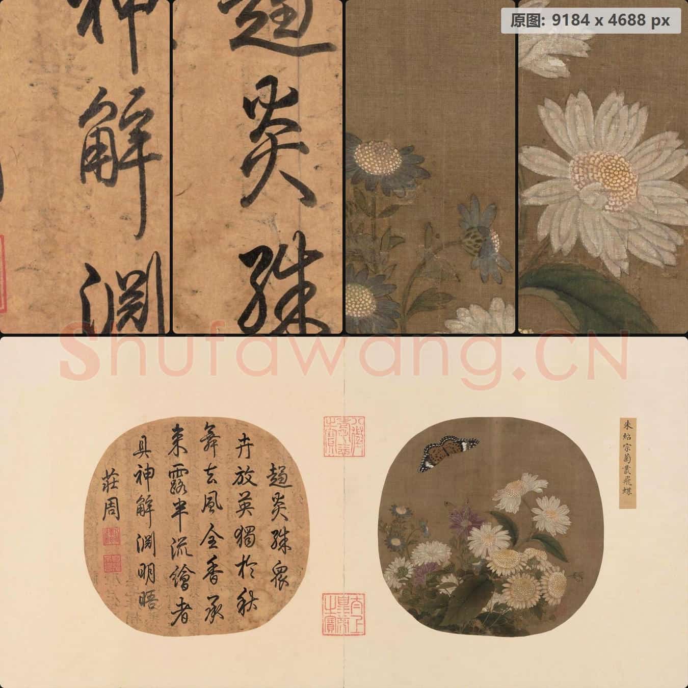 南宋 朱绍宗 菊丛飞蝶图页