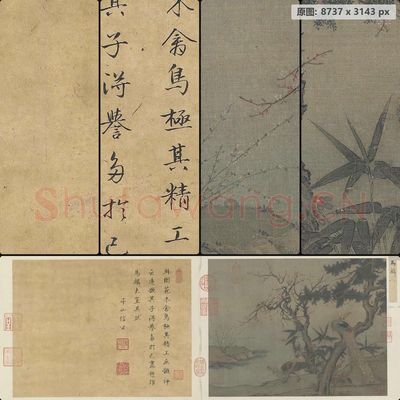 南宋 佚名 红梅孔雀图页