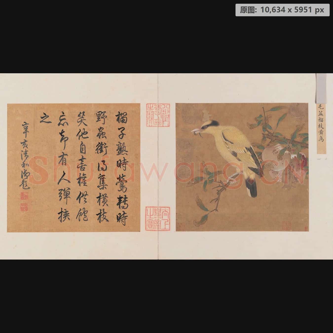 南宋 佚名 榴枝黄鸟图页