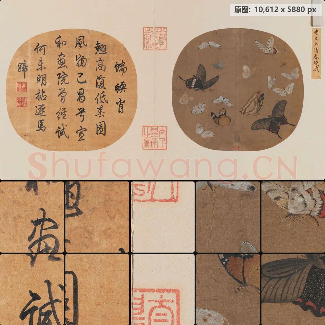 南宋 佚名 晴春蝶戏图页