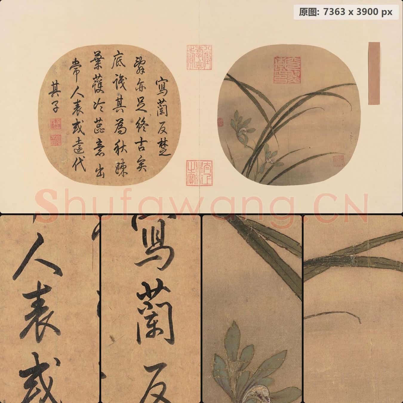 南宋 佚名 秋兰绽蕊图页