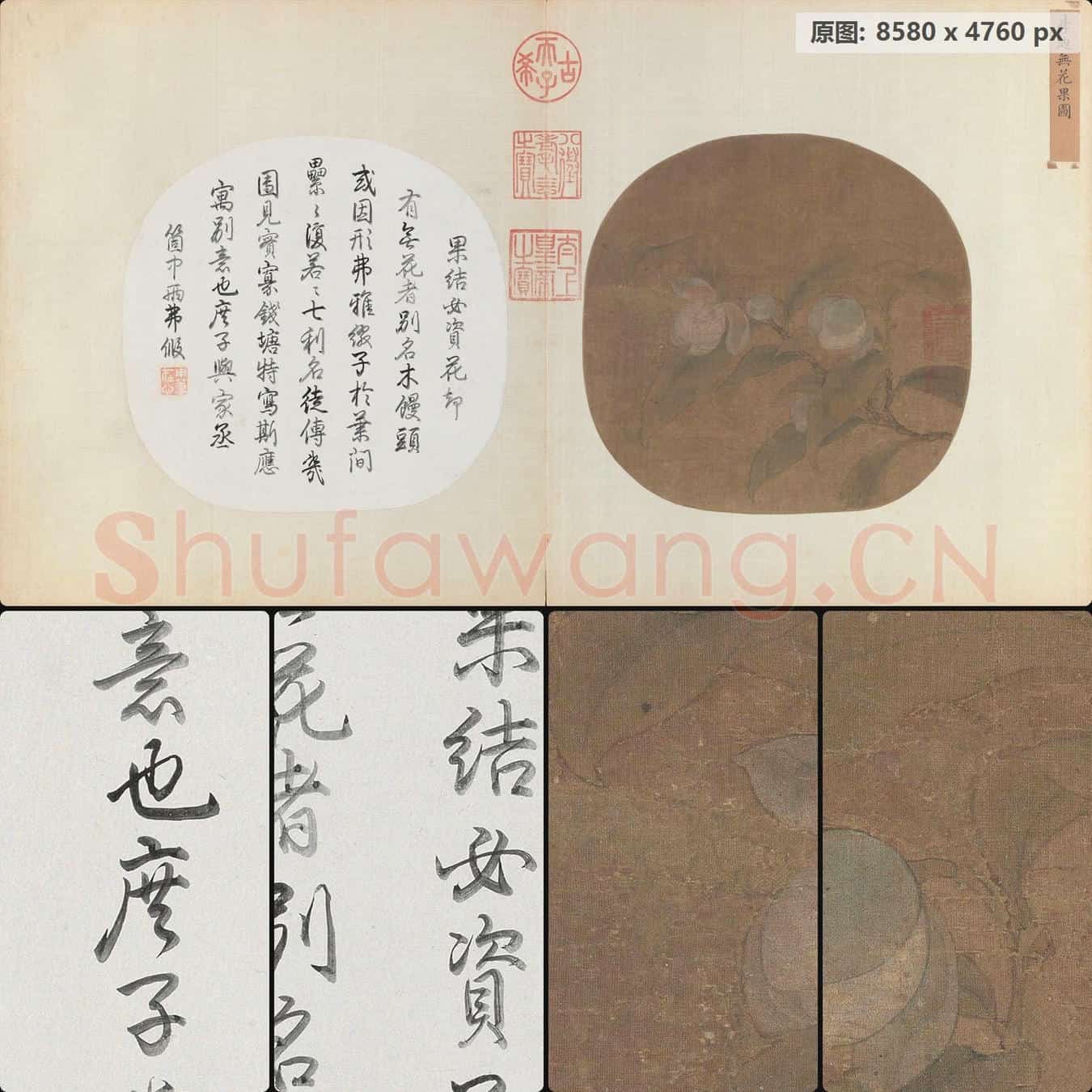 南宋 佚名 无花果图页