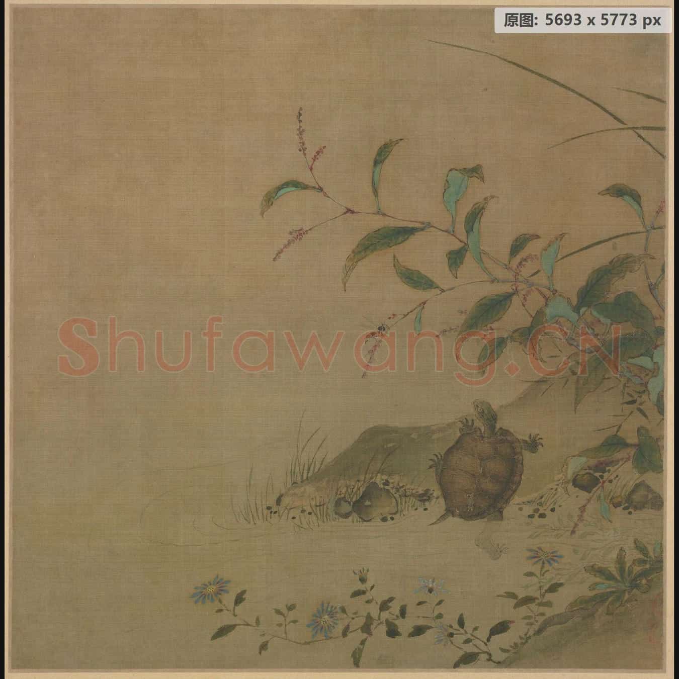 南宋 佚名 蓼龟图页