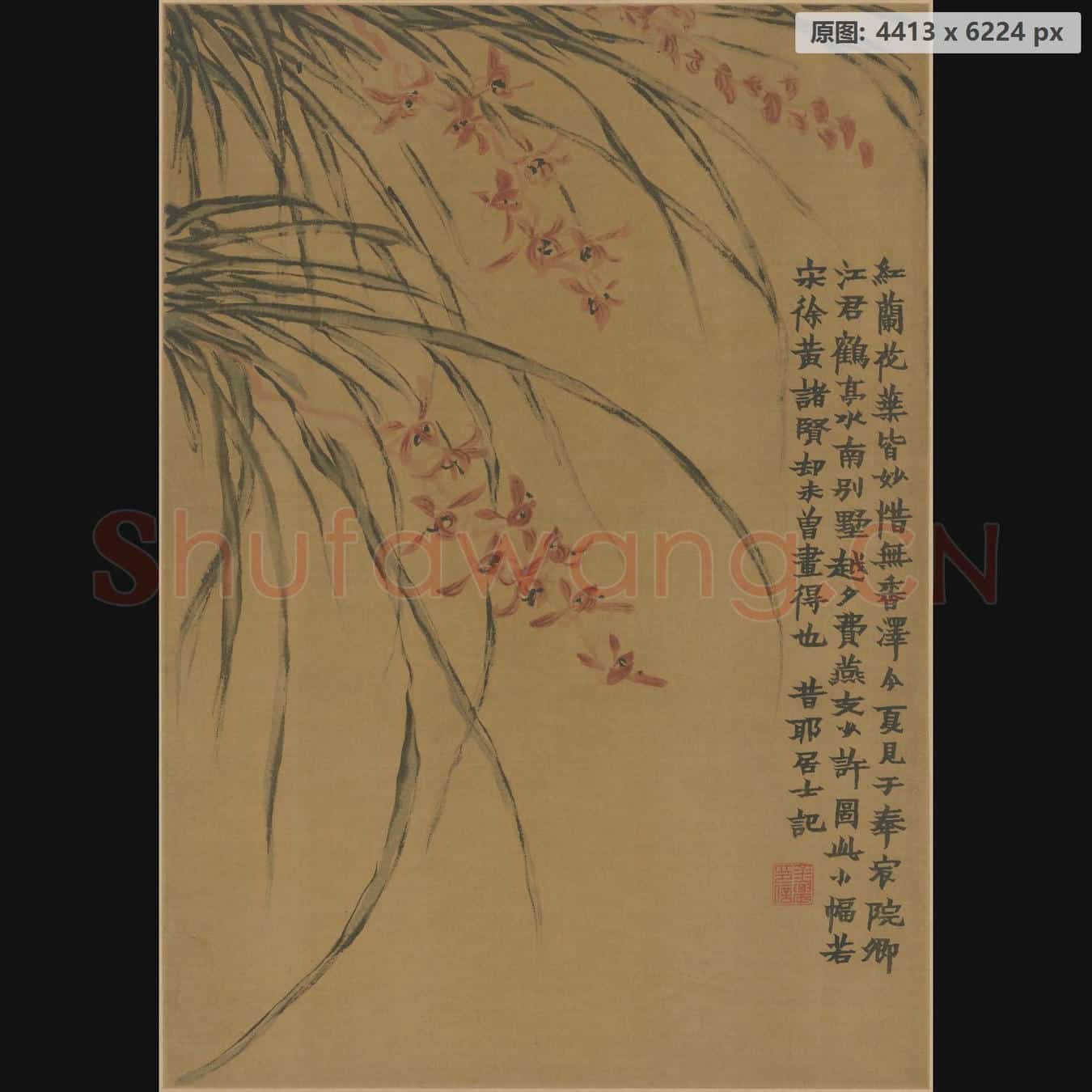 清 金农 红兰图轴